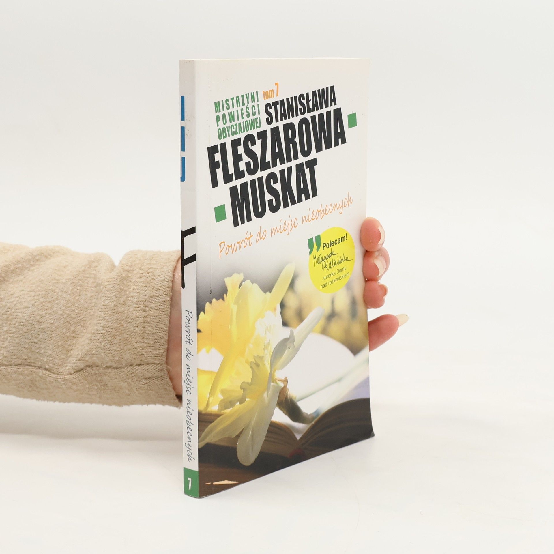 Mistrzyni Powieści Obyczajowej - 7: Powrót do miejsc nieobecnych