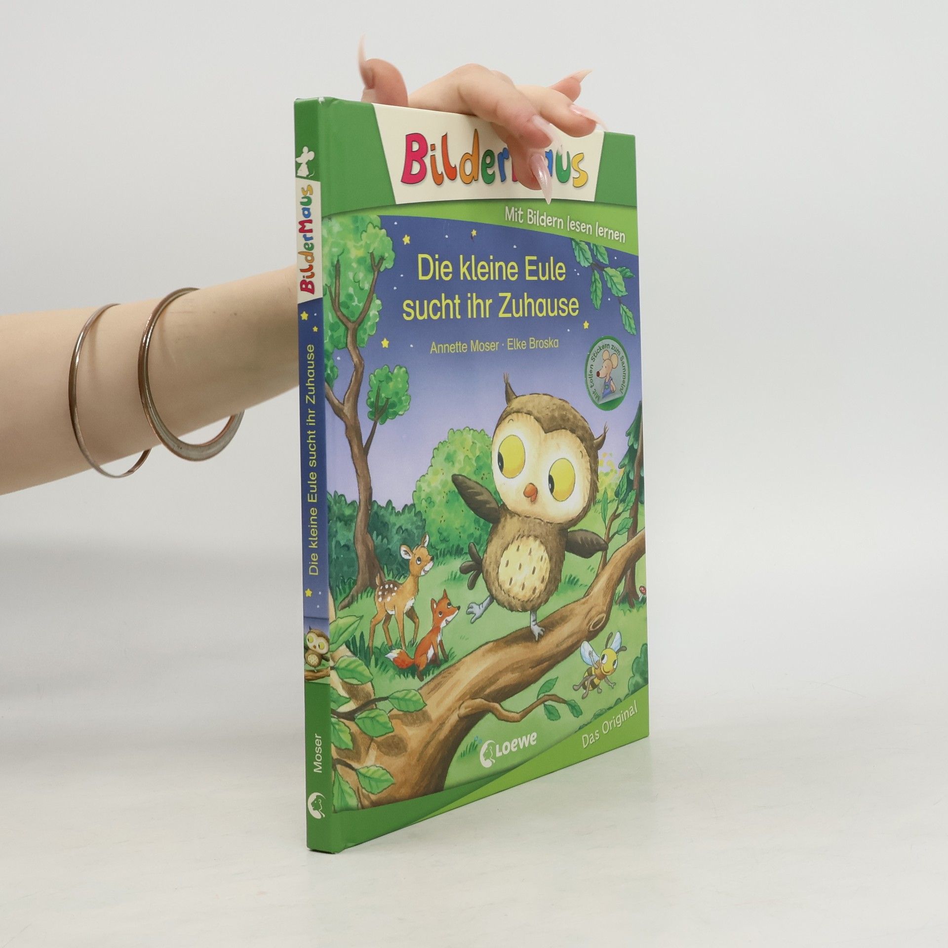 Annette Moser Die kleine Eule sucht ihr Zuhause