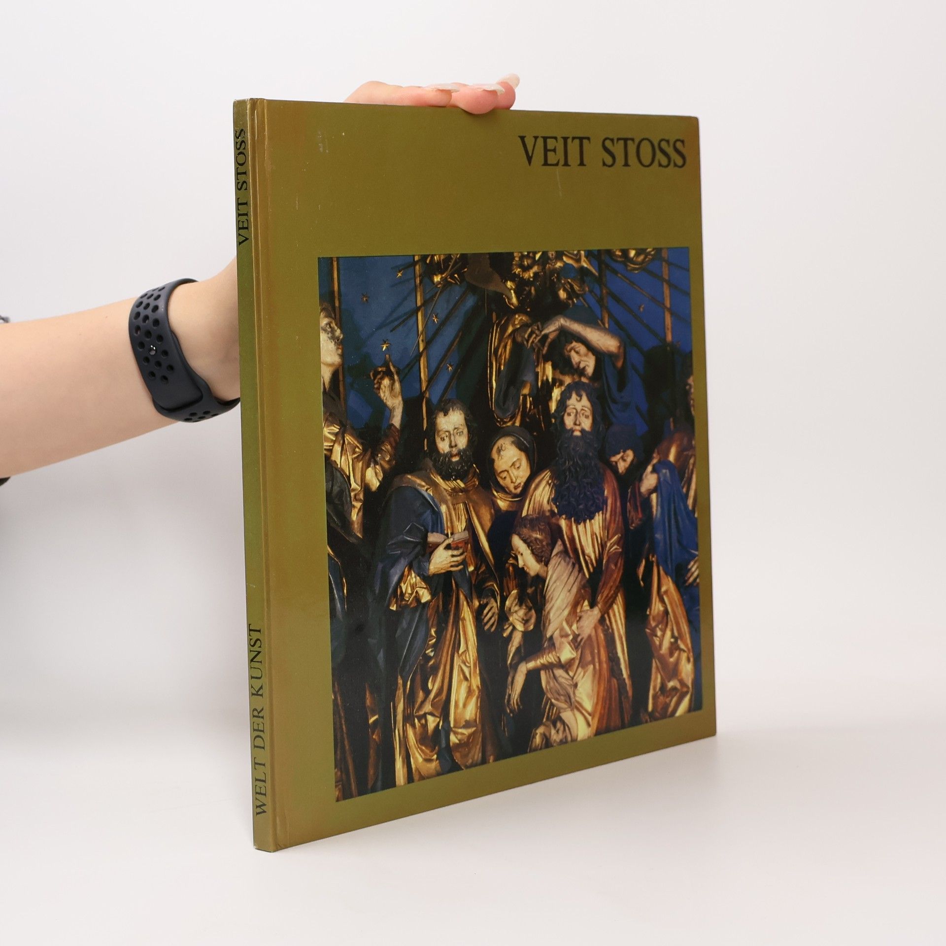 Piotr Skubiszewski Veit Stoss