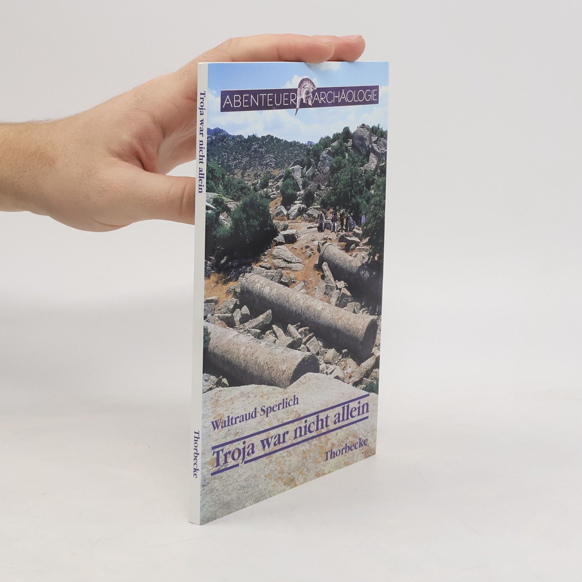 Troja war nicht allein