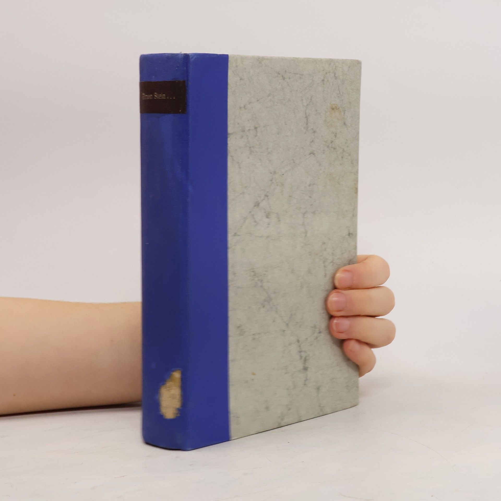 Harold Robbins Einen Stein für Danny Fisher