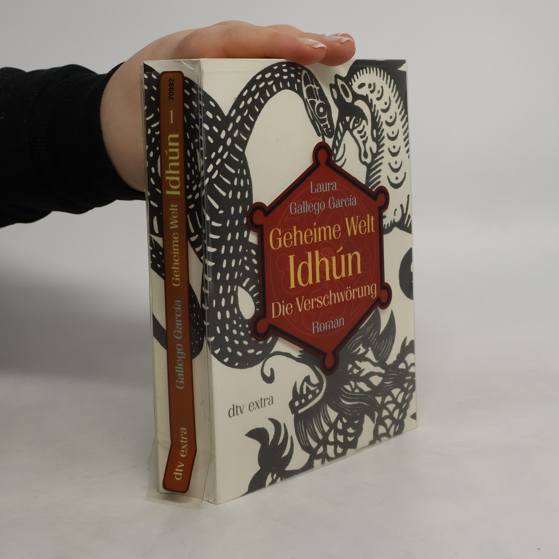 Geheime Welt Idhún 1