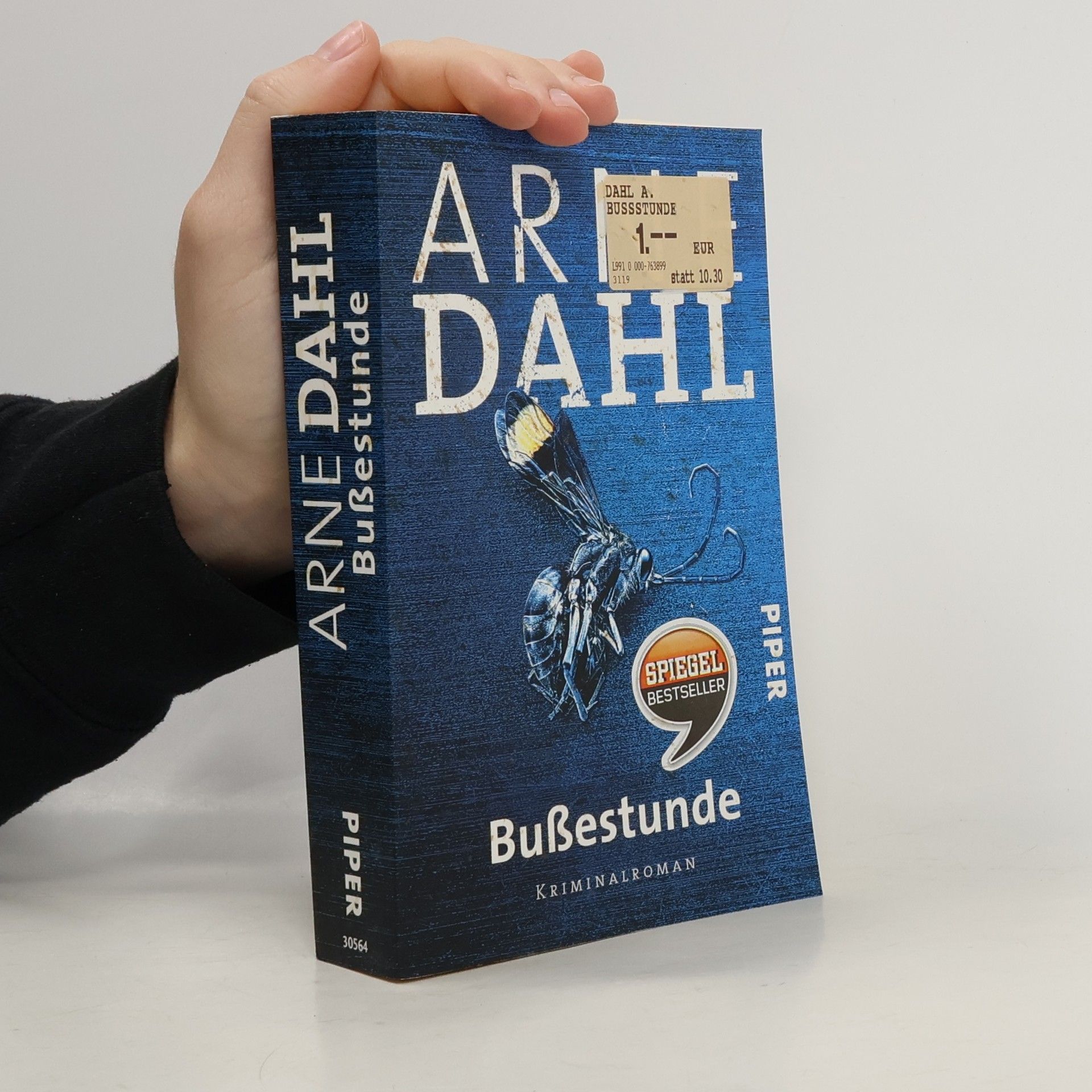 Arne Dahl Bußestunde