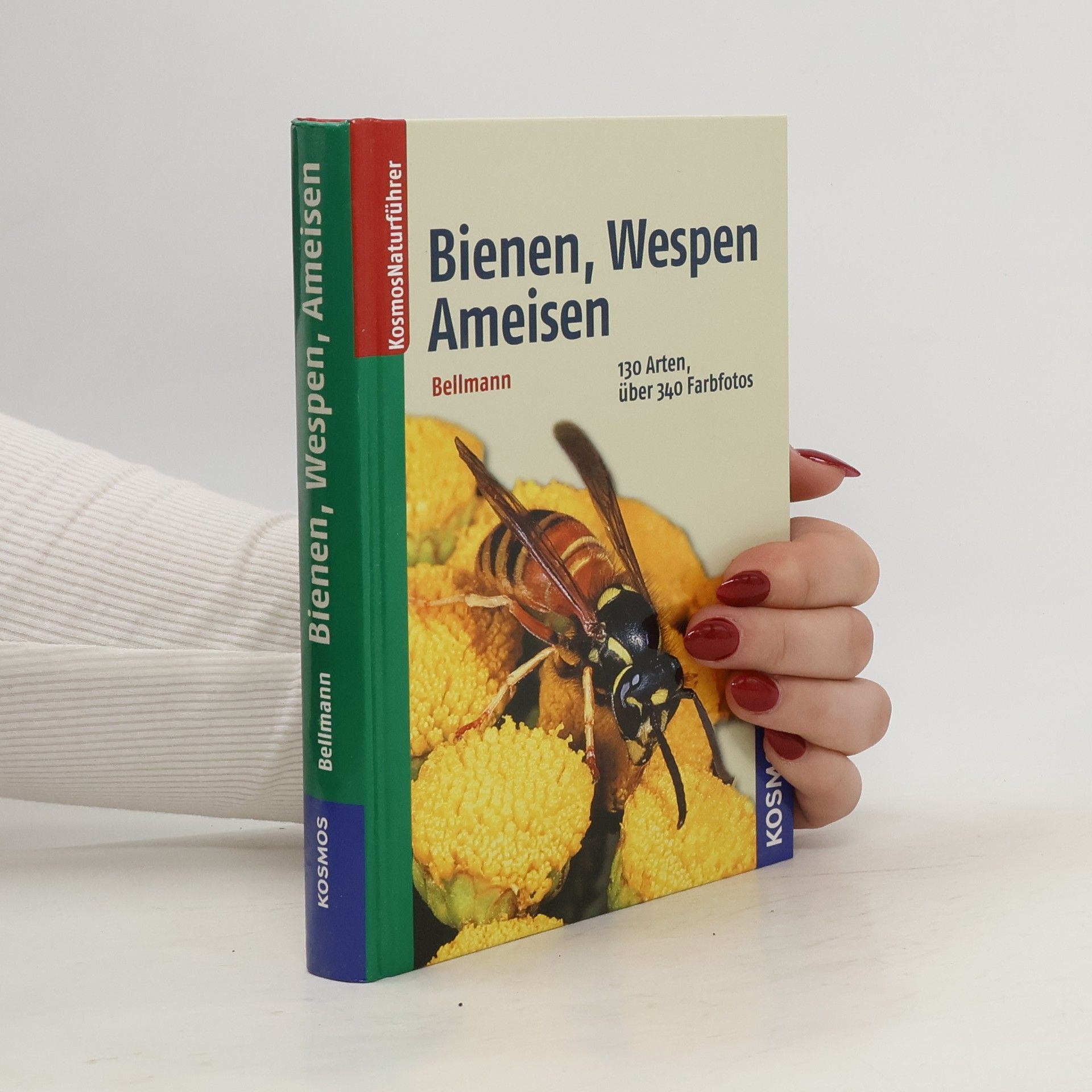 Heiko Bellmann Bienen, Wespen, Ameisen