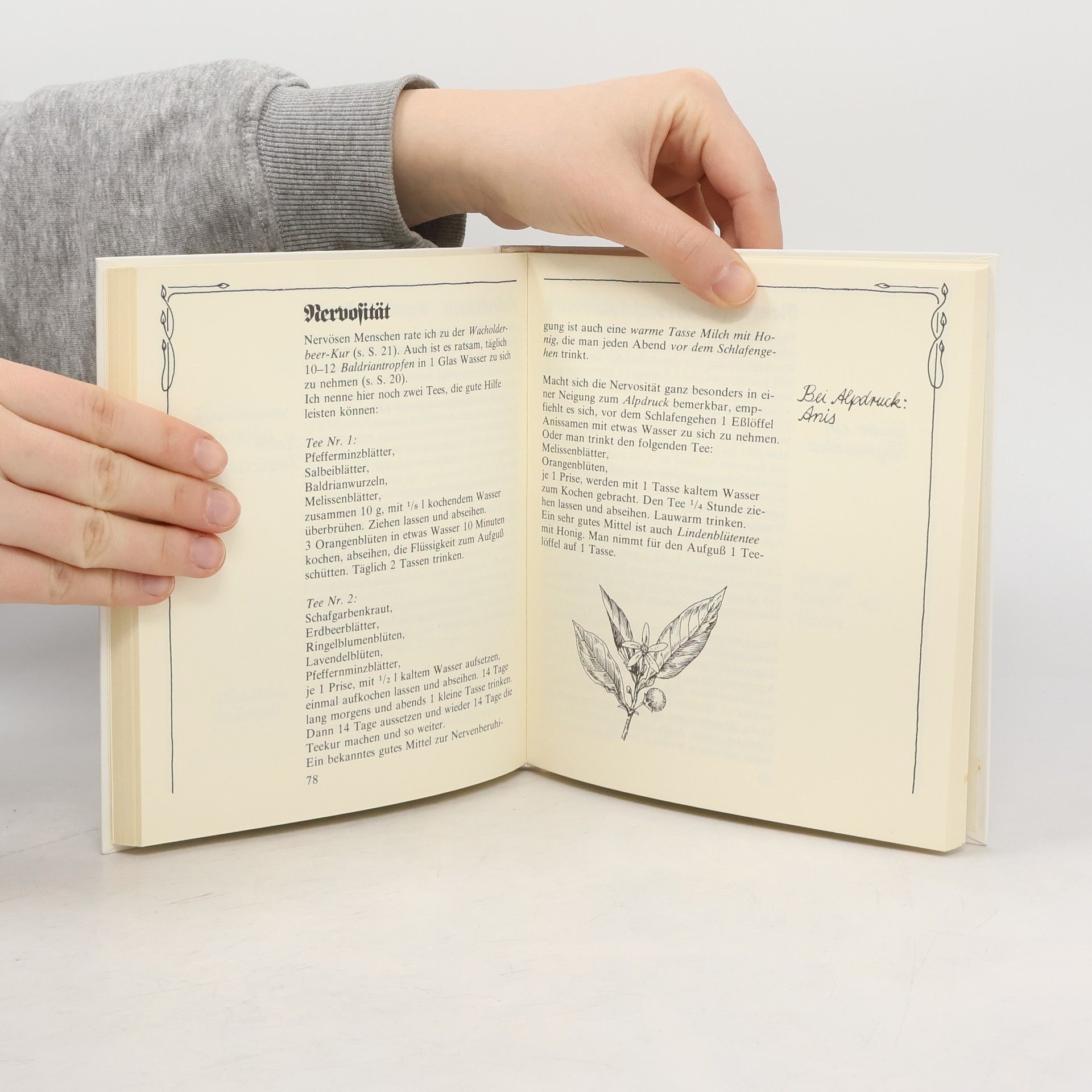 Schwester Bernardine Schwester Bernardines Heilkräuterbuch