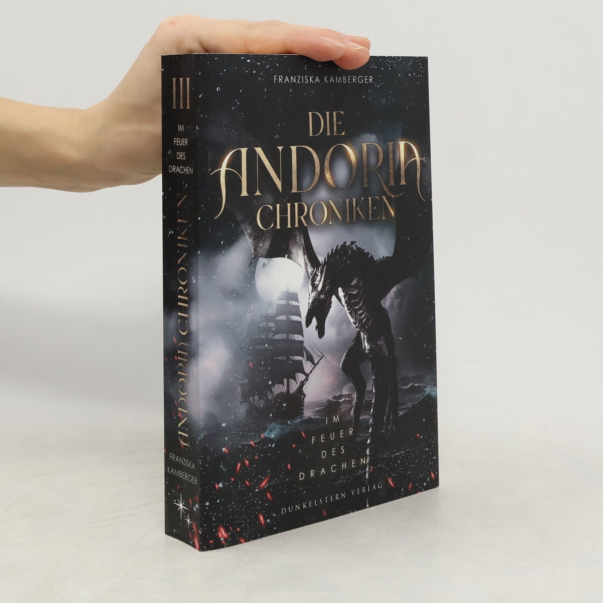 Franziska Kamberger Die Andoria Chroniken - Im Feuer des Drachen