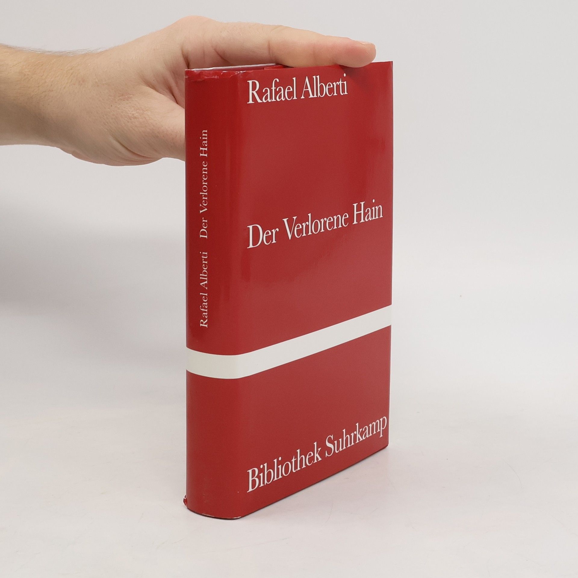 Rafael Alberti Der verlorene Hain