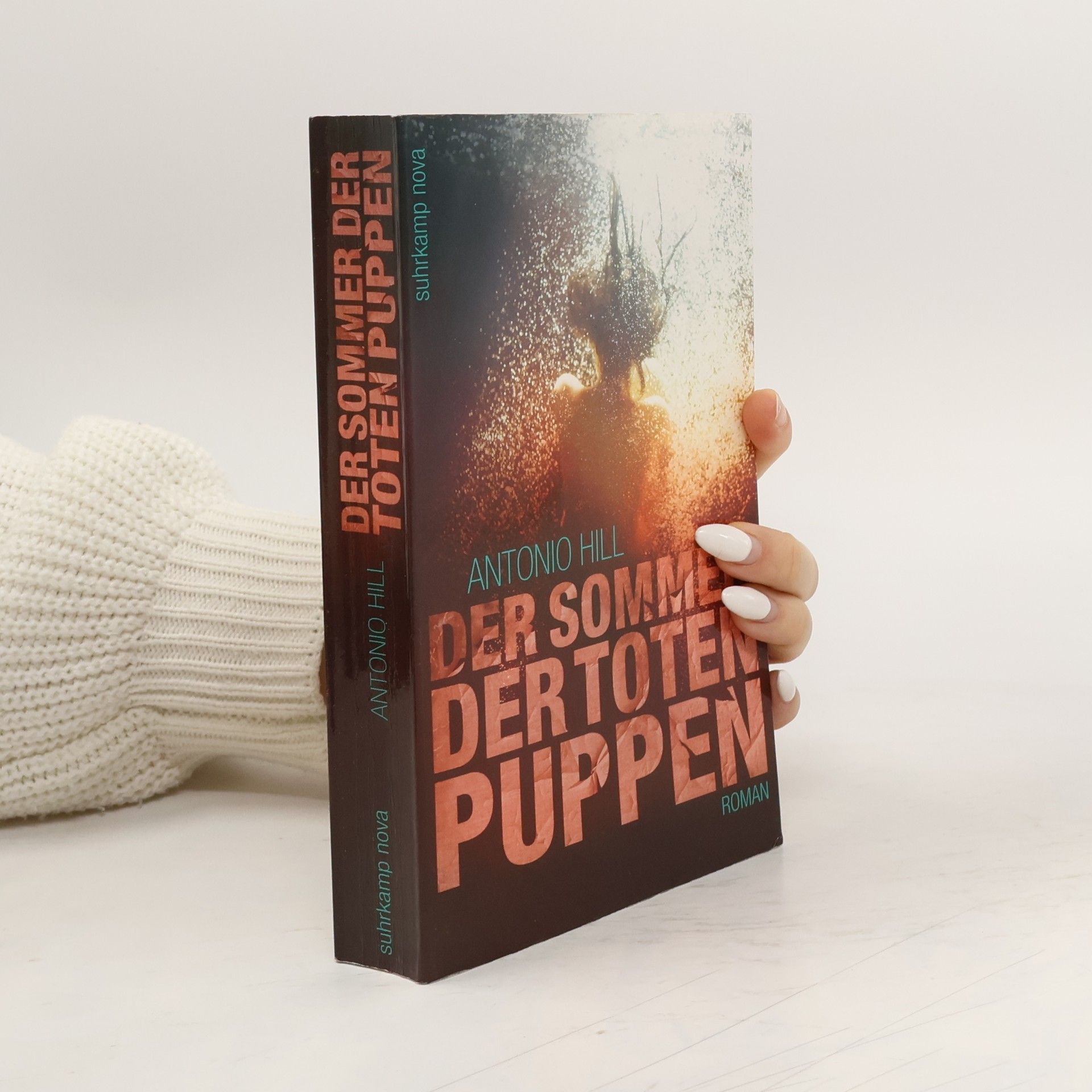 Toni Hill Der Sommer der Toten Puppen