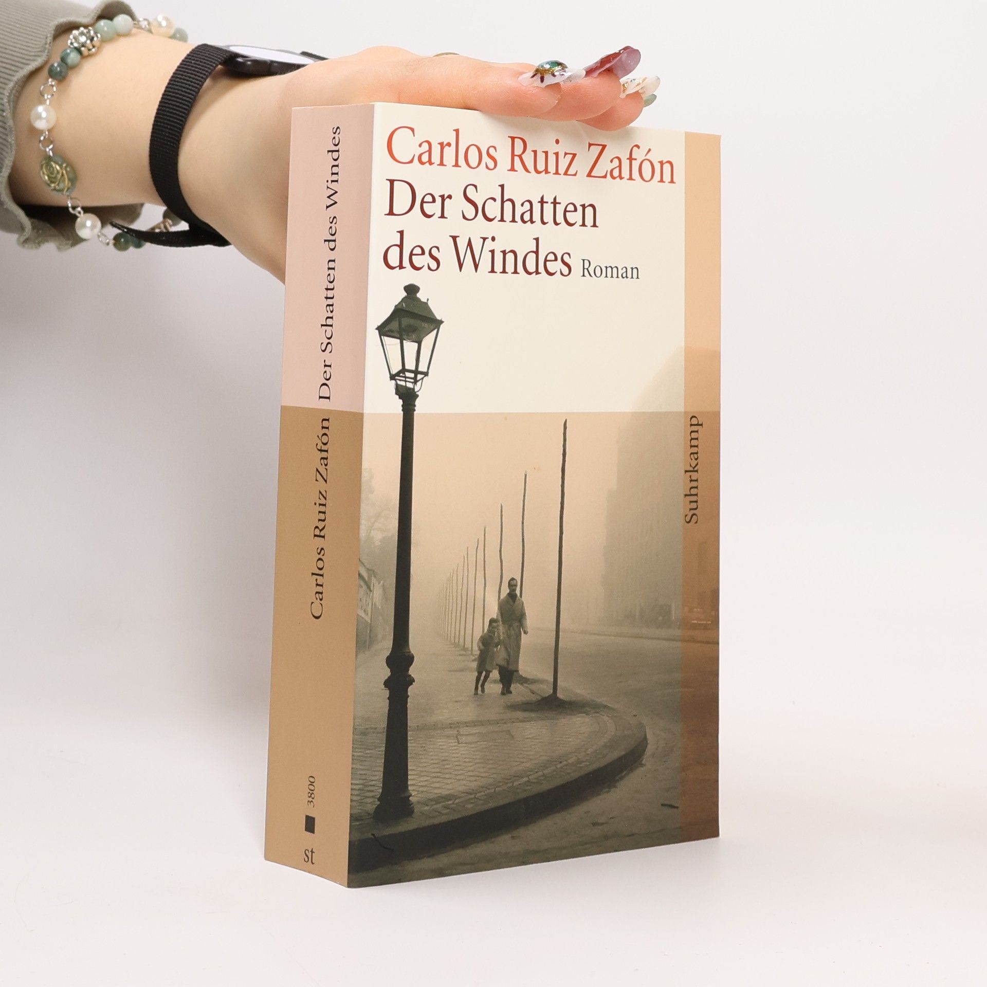 Carlos Ruiz Zafón Der Schatten des Windes