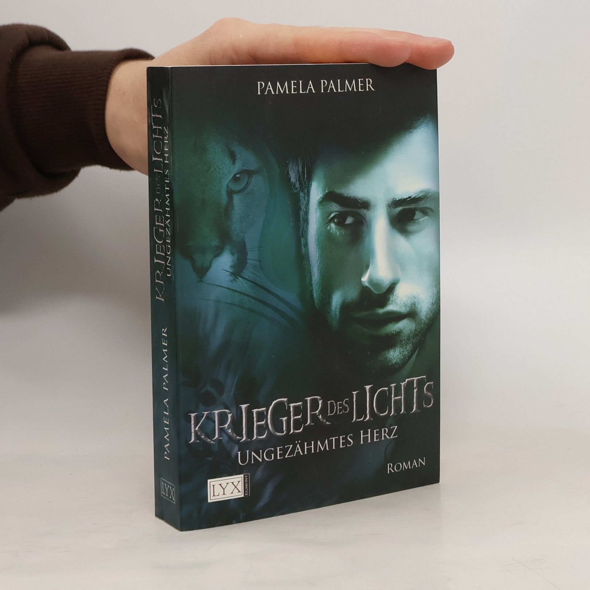 Pamela Palmer Krieger des Lichts 5