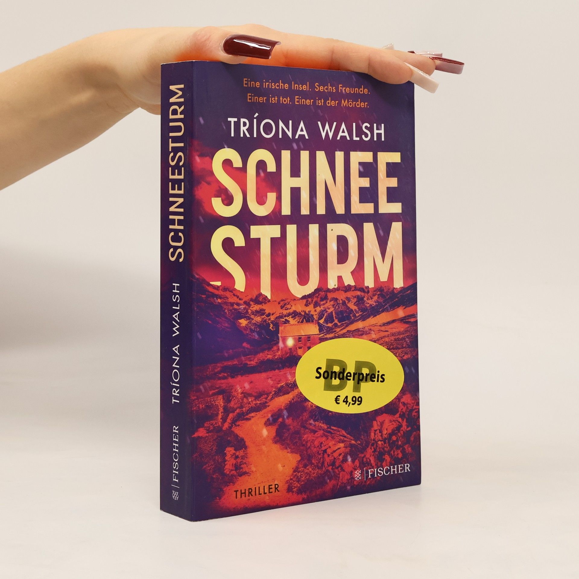 Tríona Walsh Schneesturm