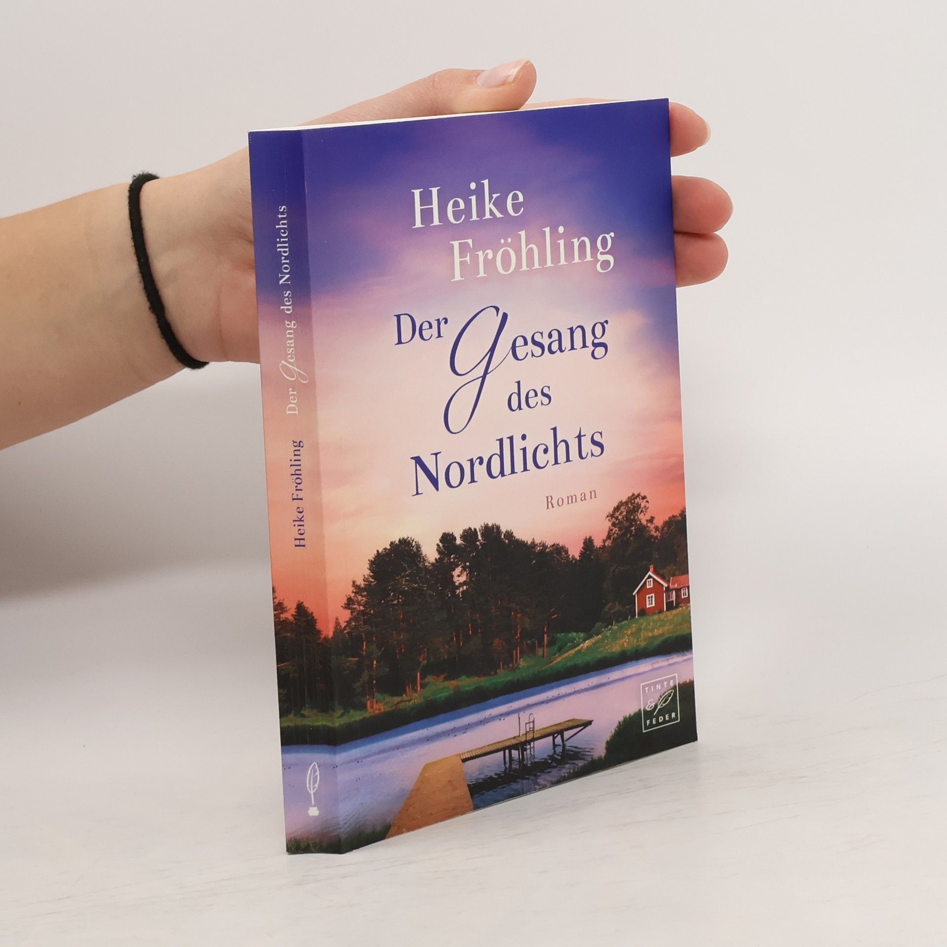 Heike Fröhling Der Gesang des Nordlichts