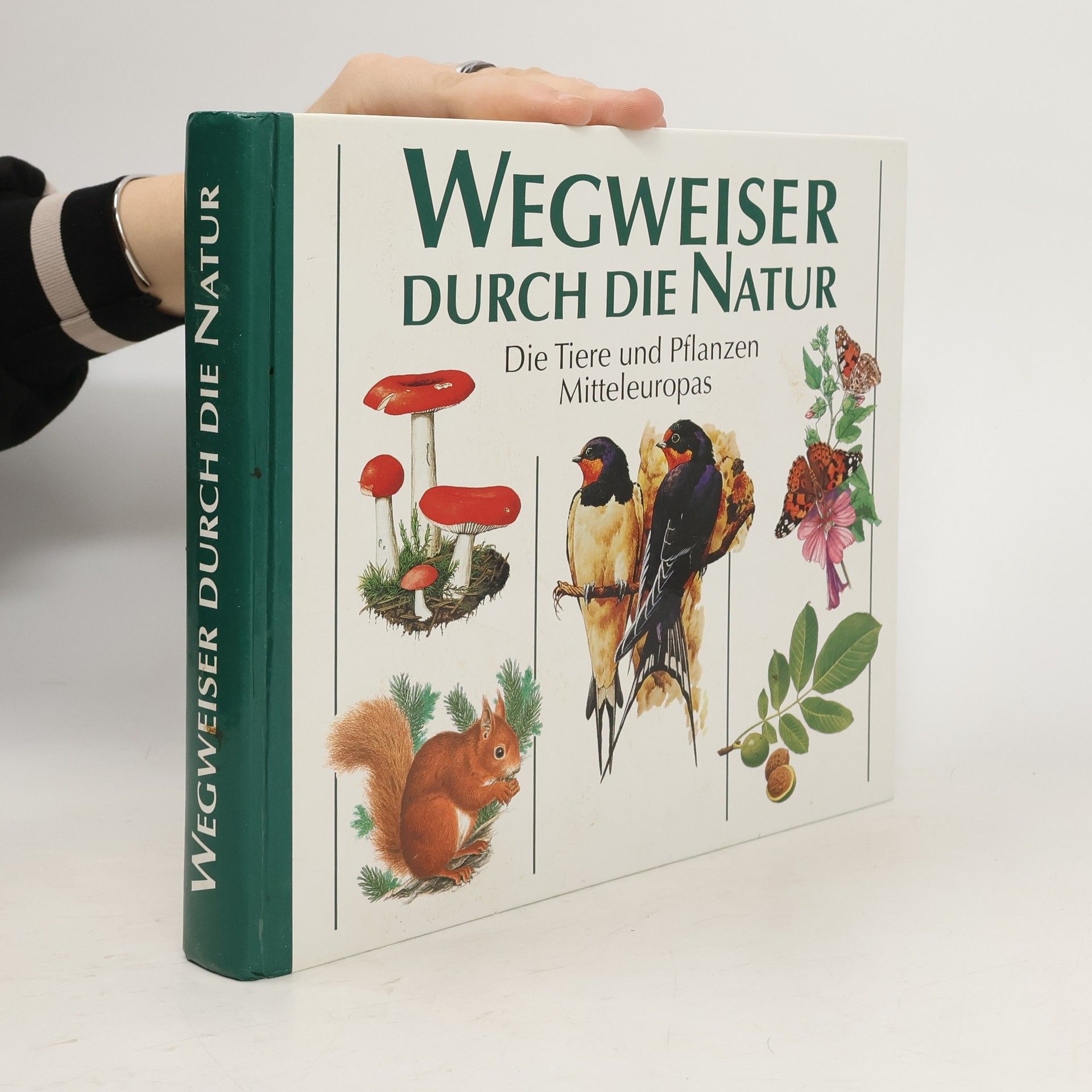 Autorenkollektiv Wegweiser durch die Natur. Die Tiere und Pflanzen Mitteleuropas