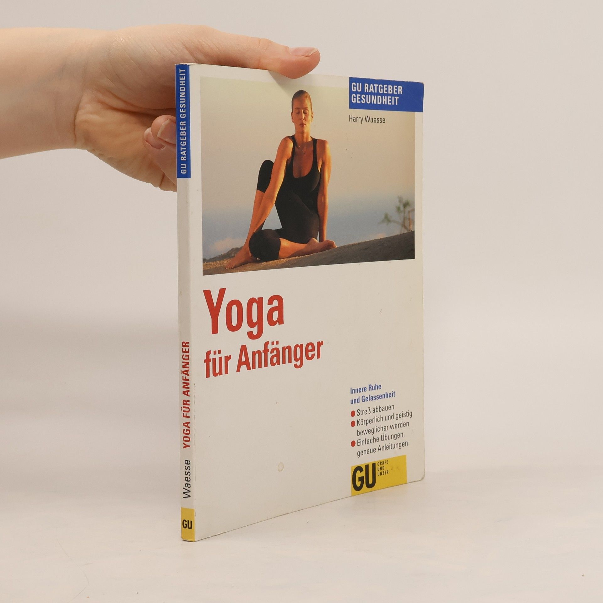 Harry Waesse Yoga für Anfänger