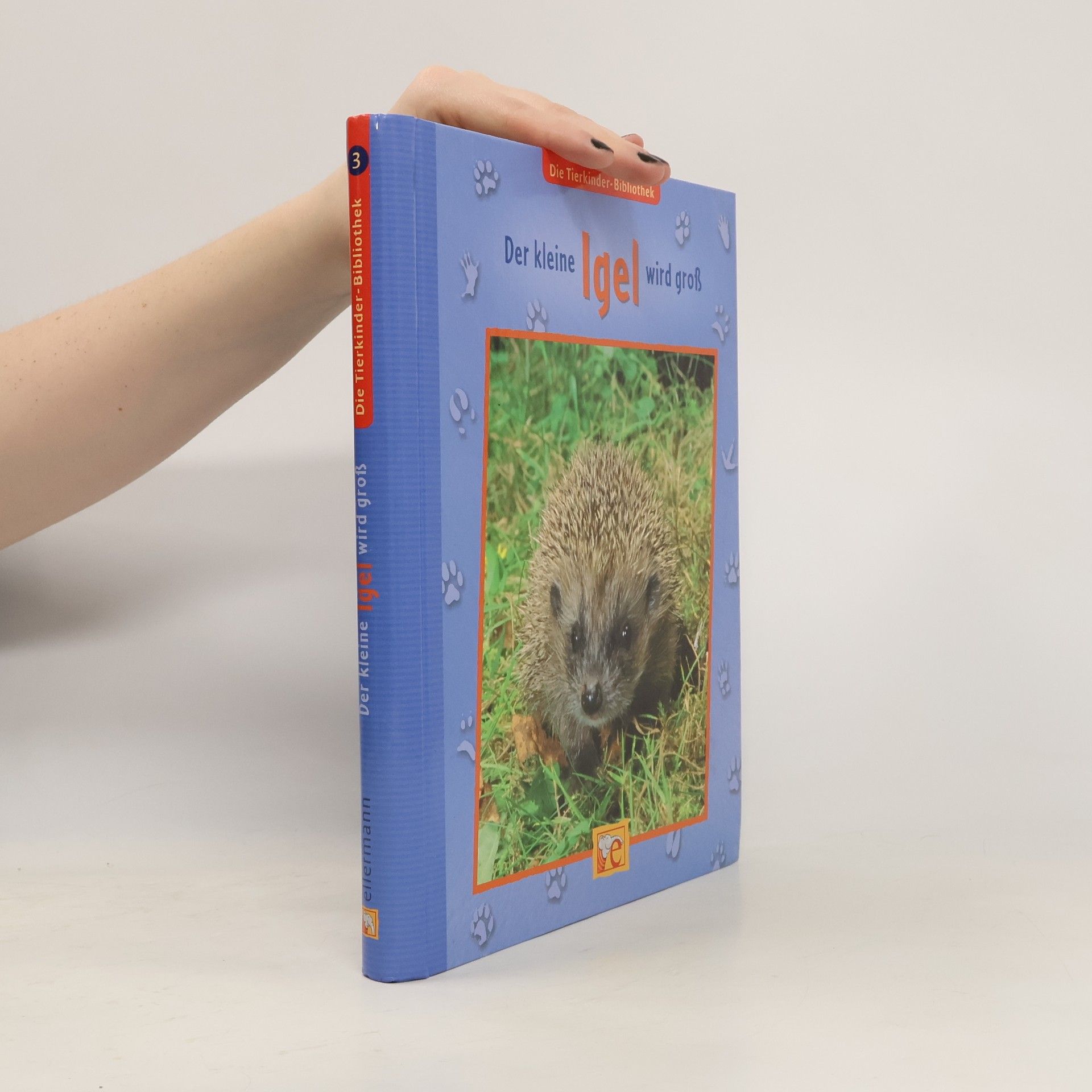 Sandra Grimm Der kleine Igel wird groß