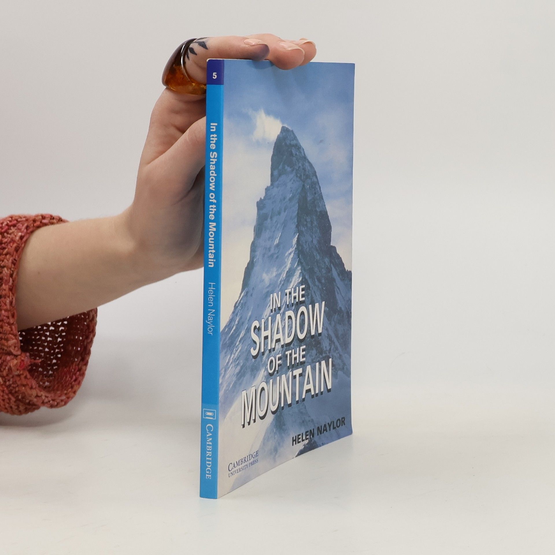 In the shadow of the mountain