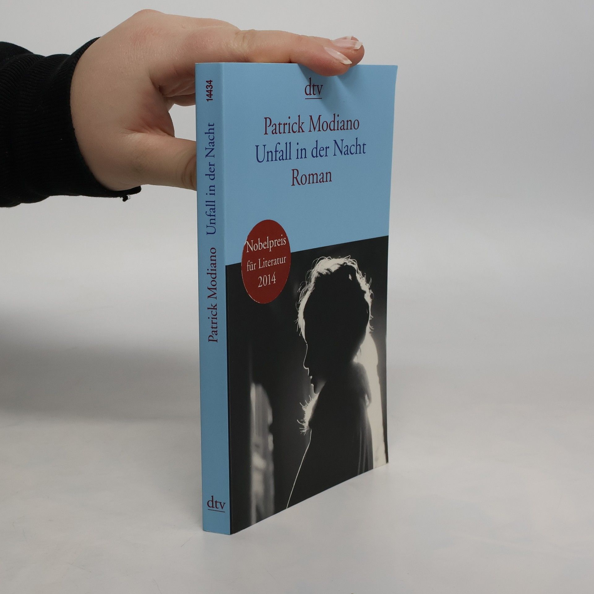 Patrick Modiano Unfall in der Nacht