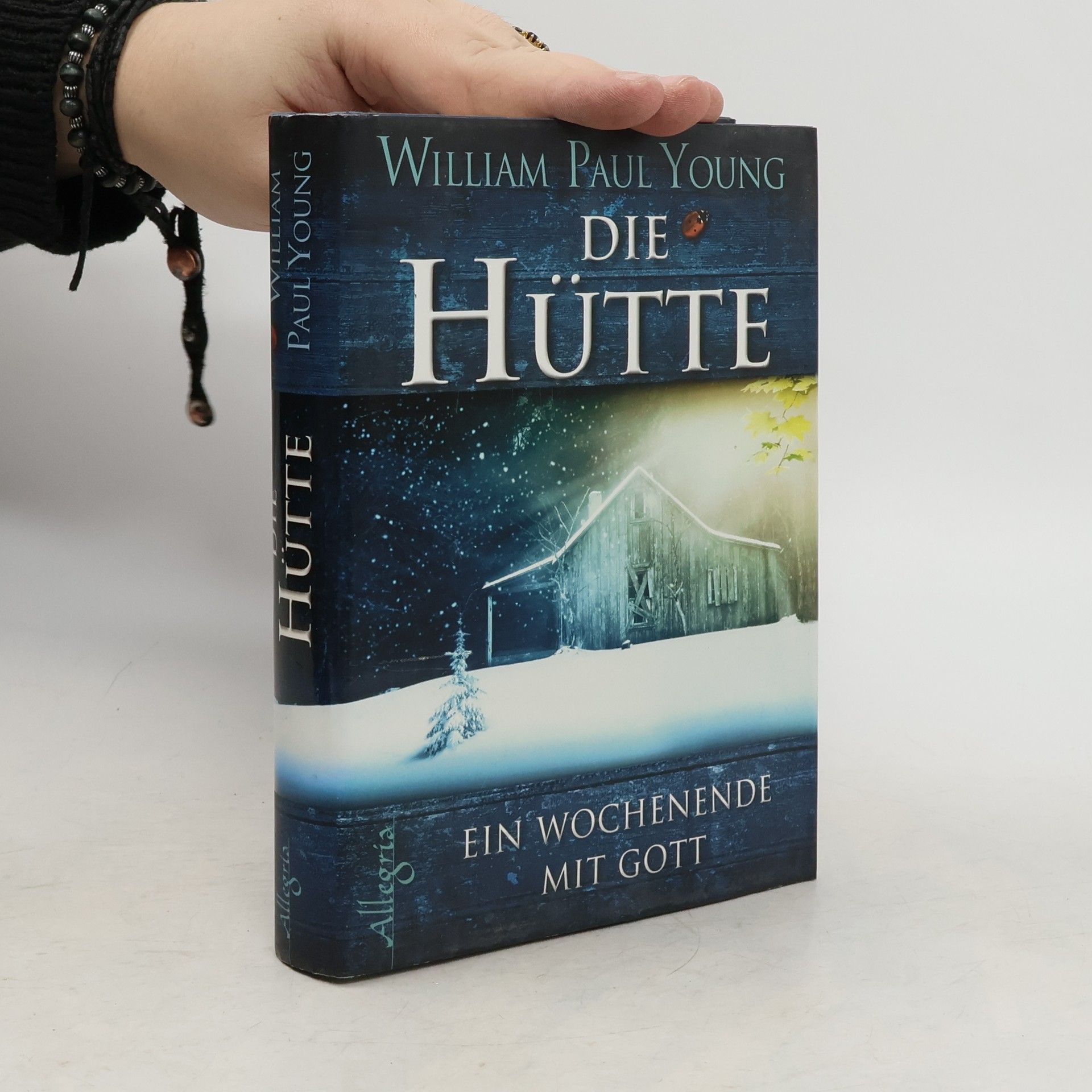 William P. Young Die Hütte