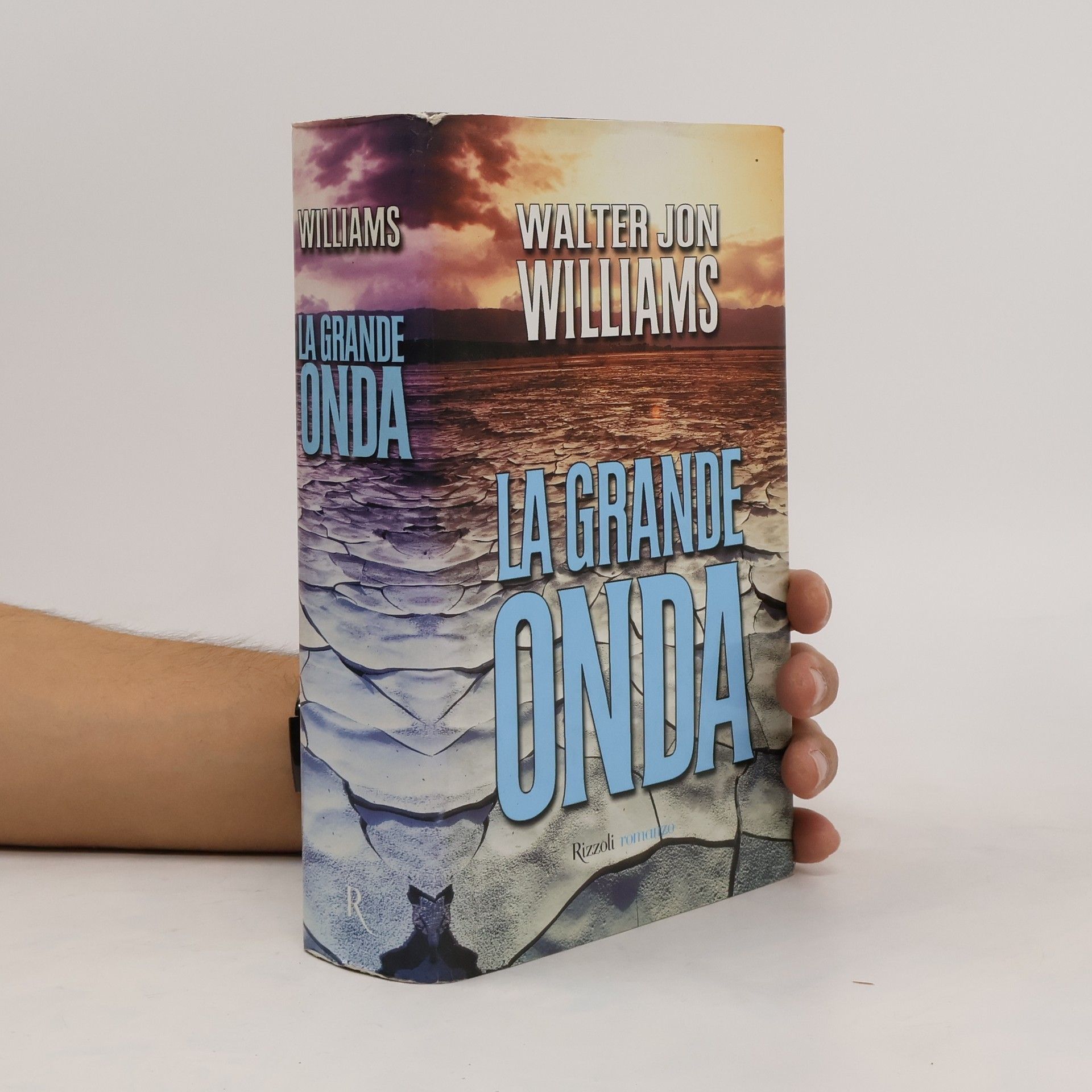 Marcella Calzolari La Grande Onda