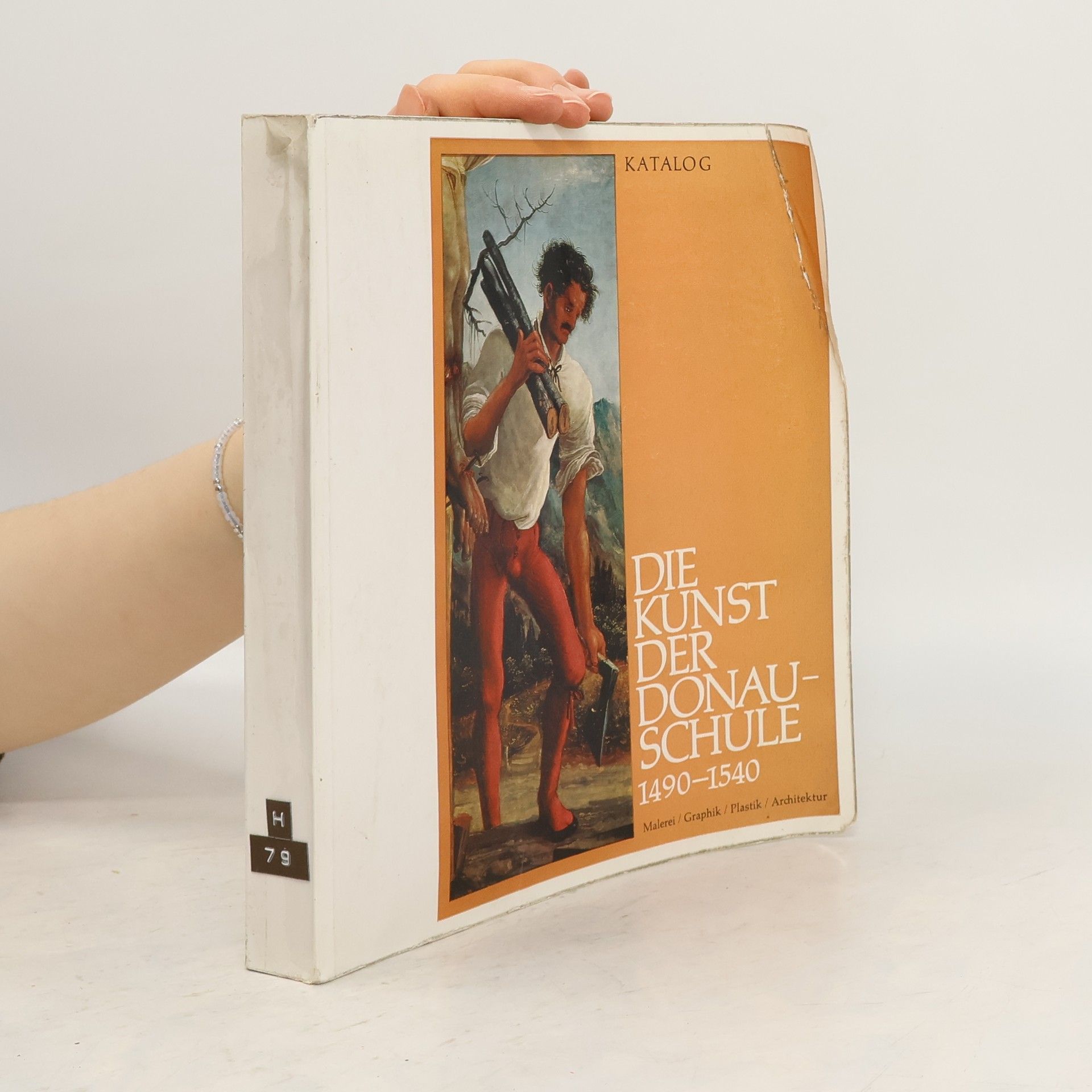 Die Kunst der Donauschule