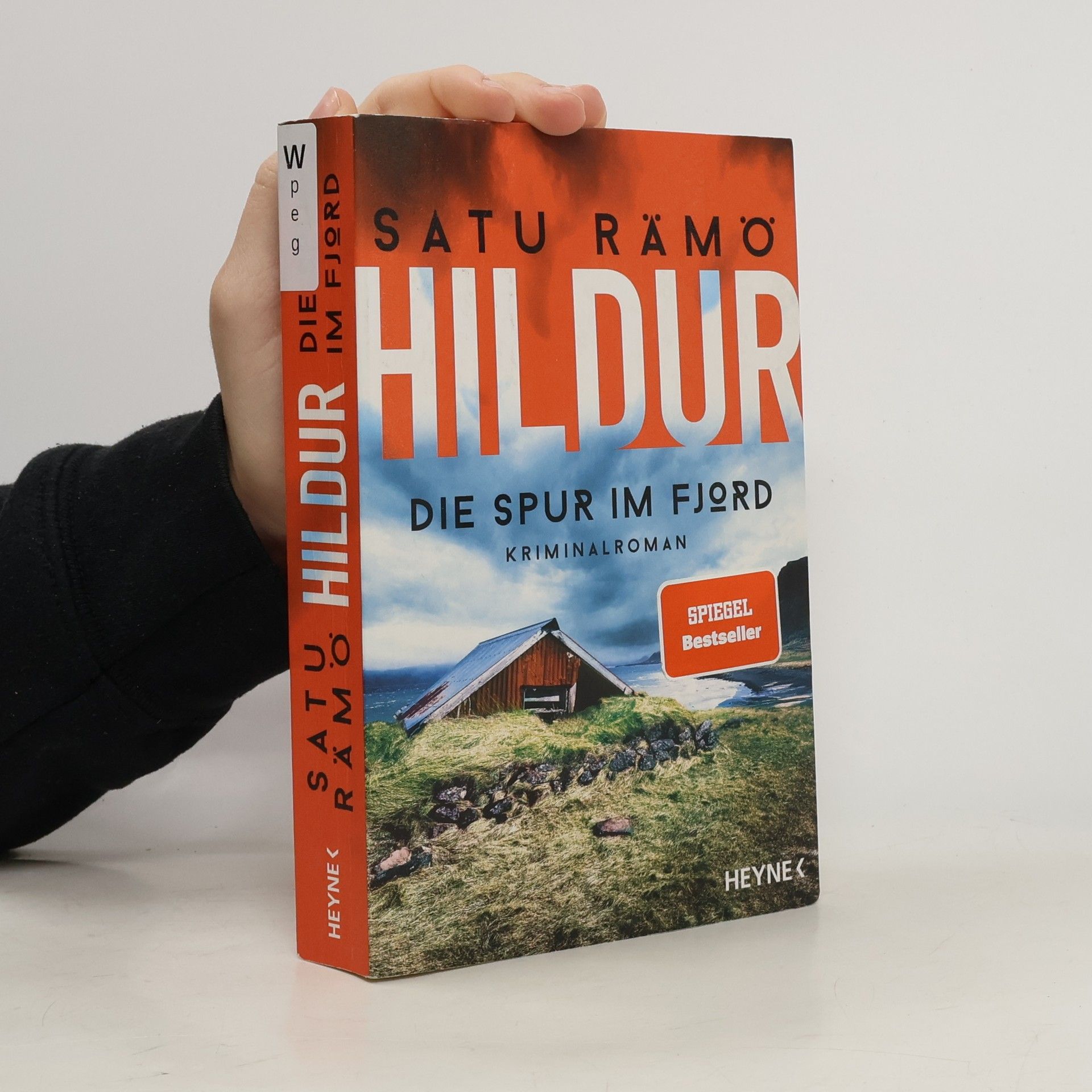 Satu Rämö Hildur. Die Spur im Fjord