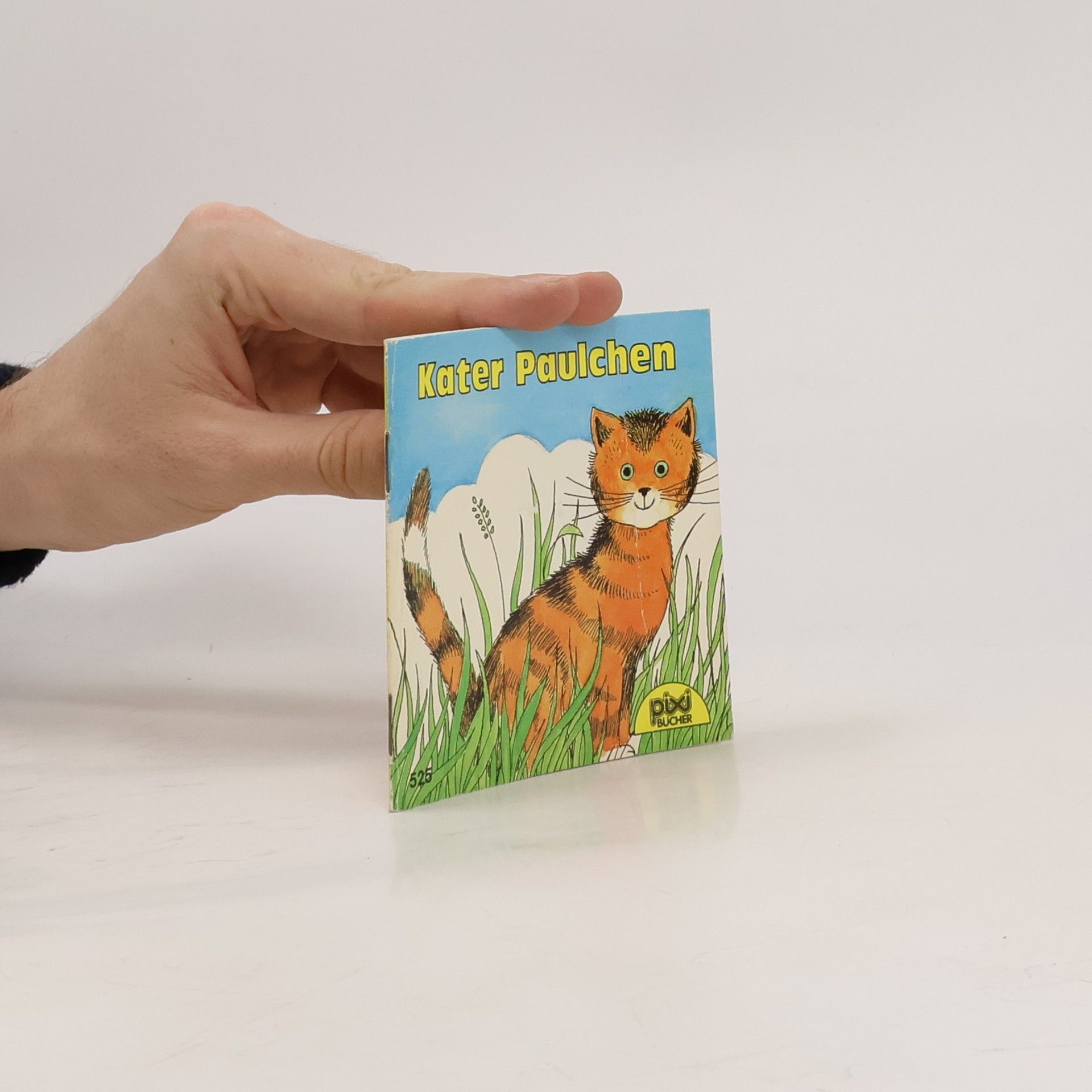 Collectif d'auteurs Such doch mal!