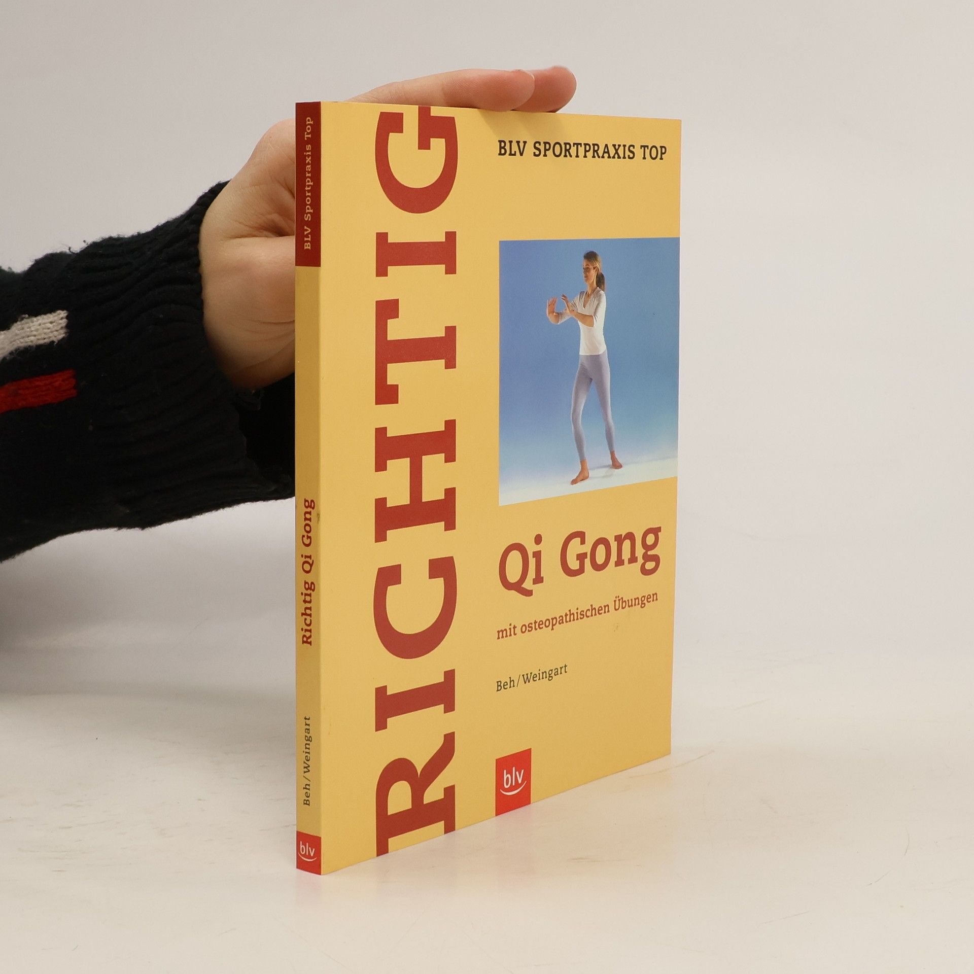 Dieter Beh Richtig Qi-qong