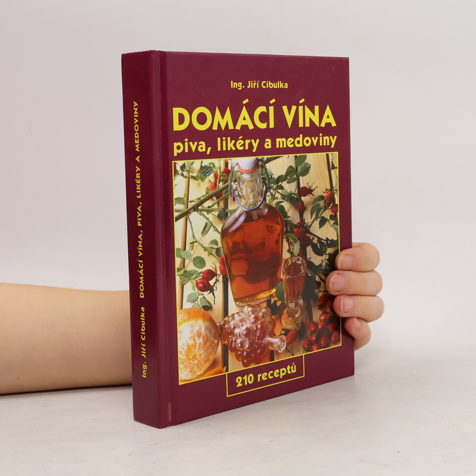 Domácí vína: Piva, likéry a medoviny