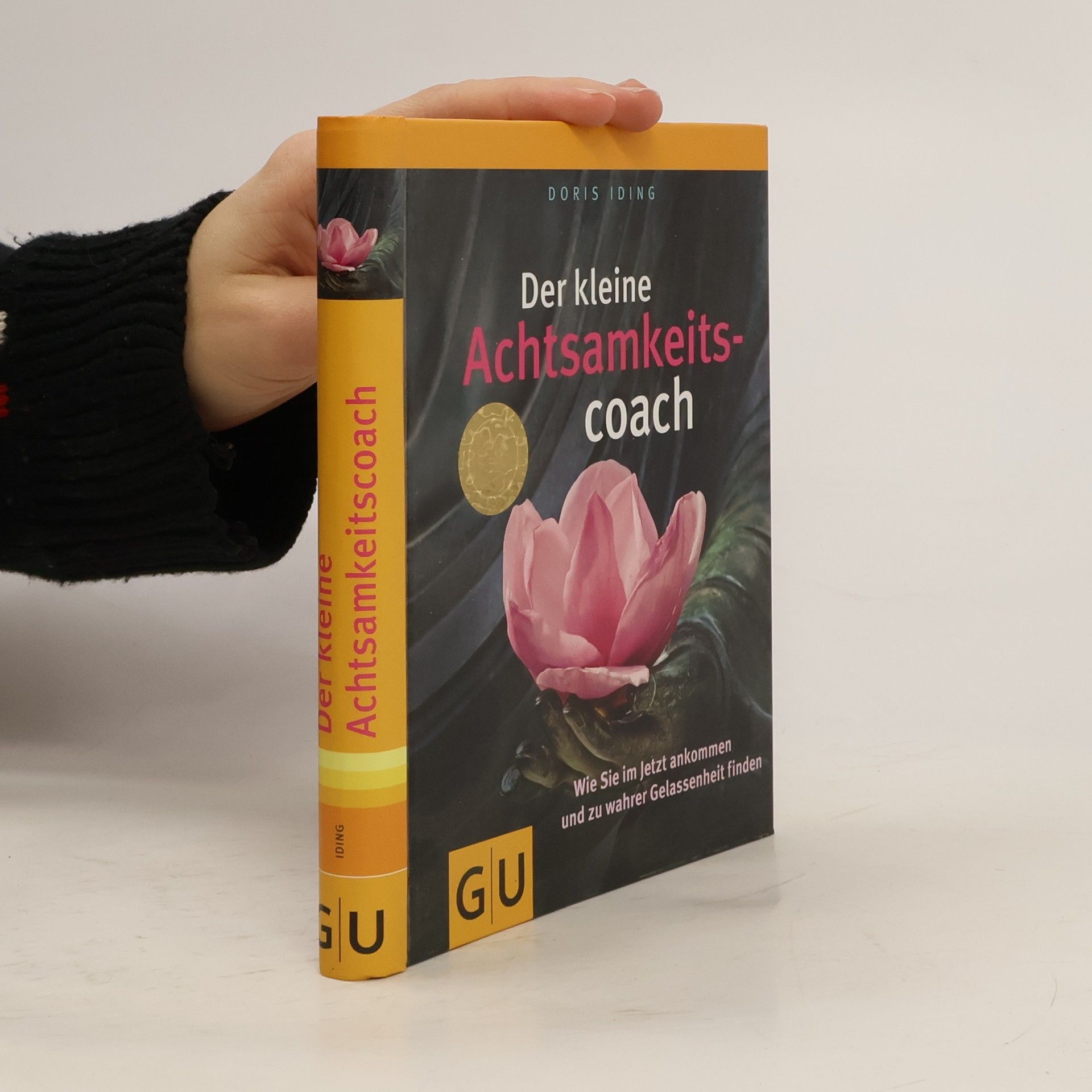 Doris Iding Der kleine Achtsamkeitscoach