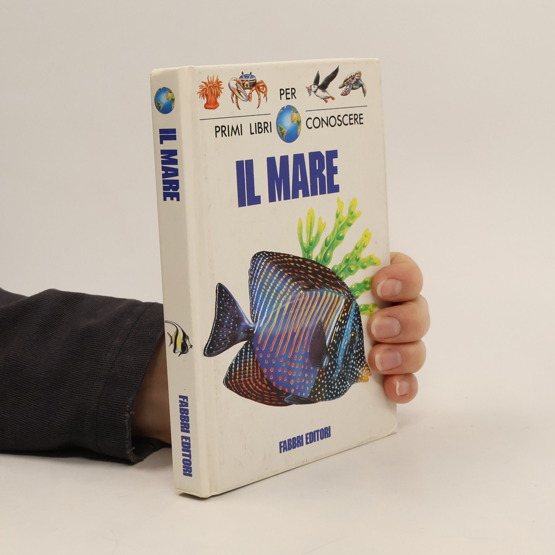 Primi libri per conoscere: Il mare