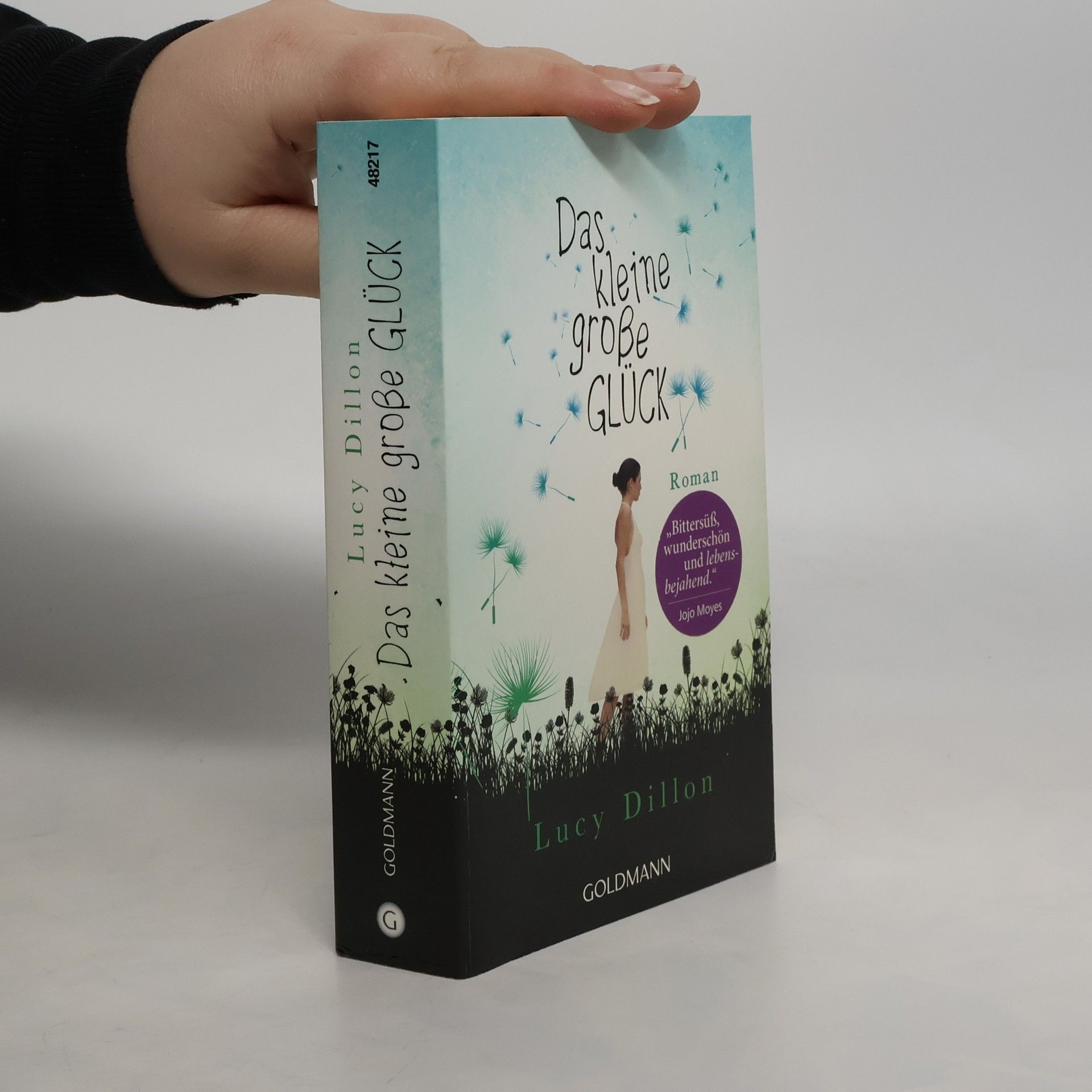 Lucy Dillon Das kleine große Glück