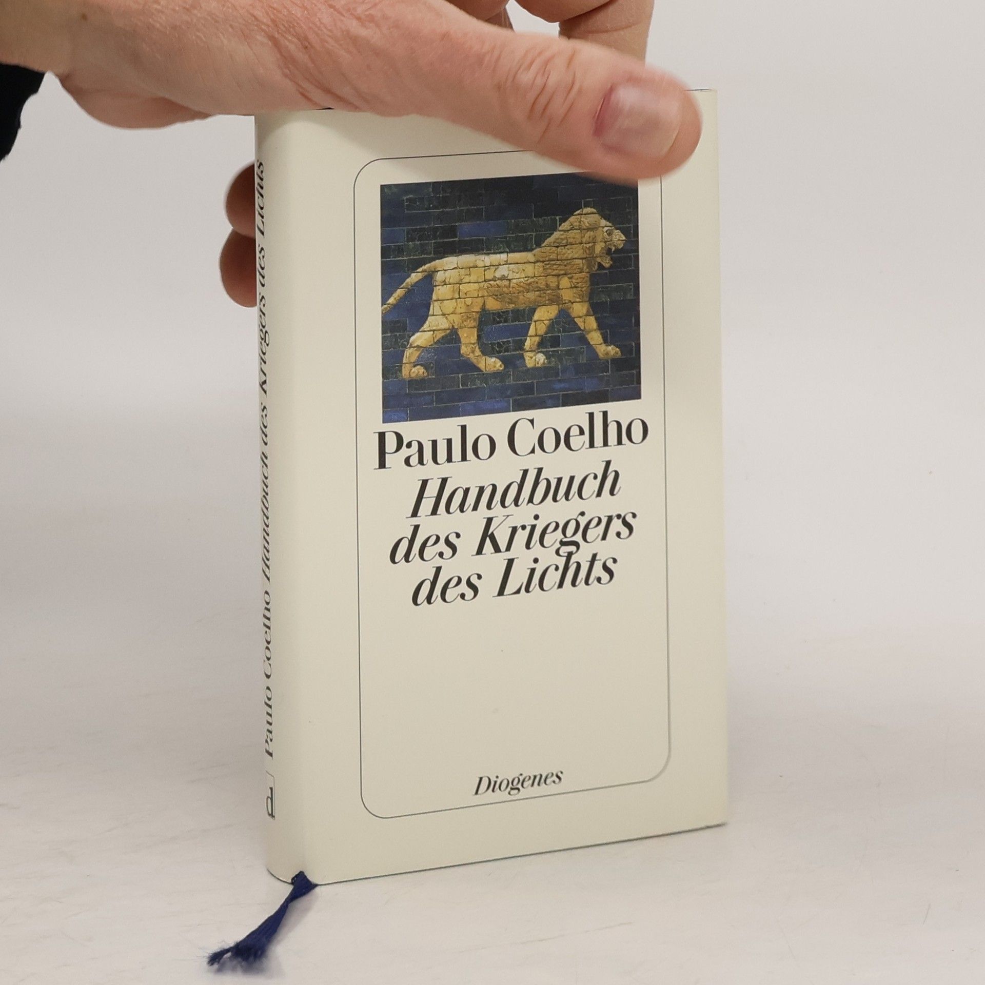 Paulo Coelho Handbuch des Kriegers des Lichts