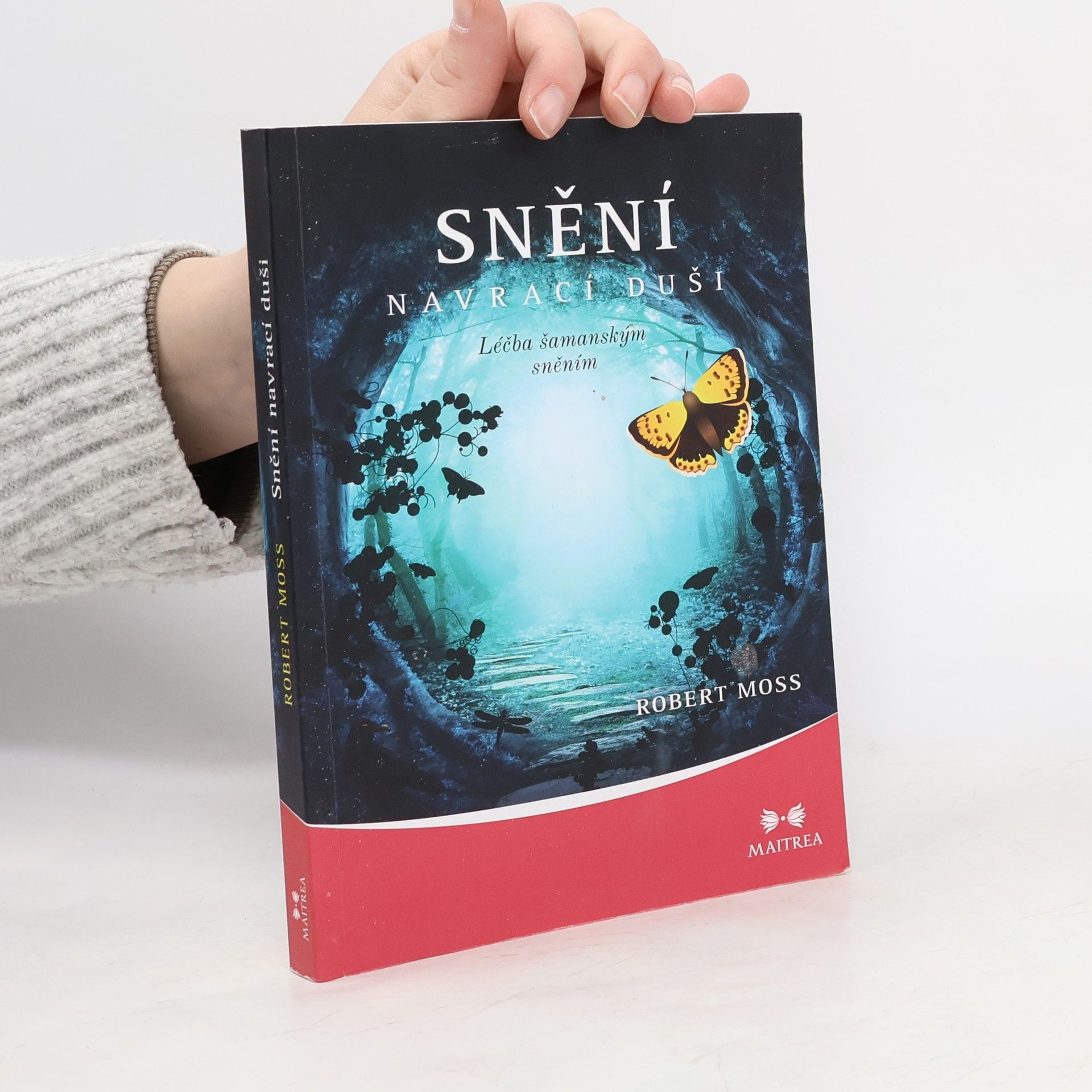 Robert Moss Snění navrací duši. Léčba šamanským sněním