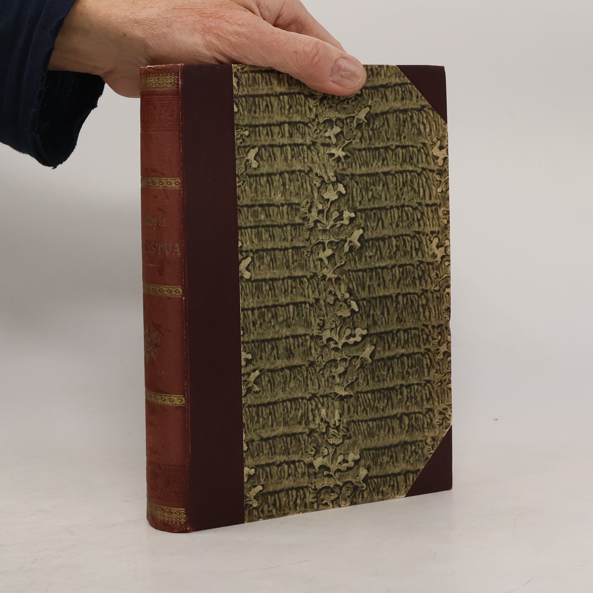 Přírodopis rostlinstva