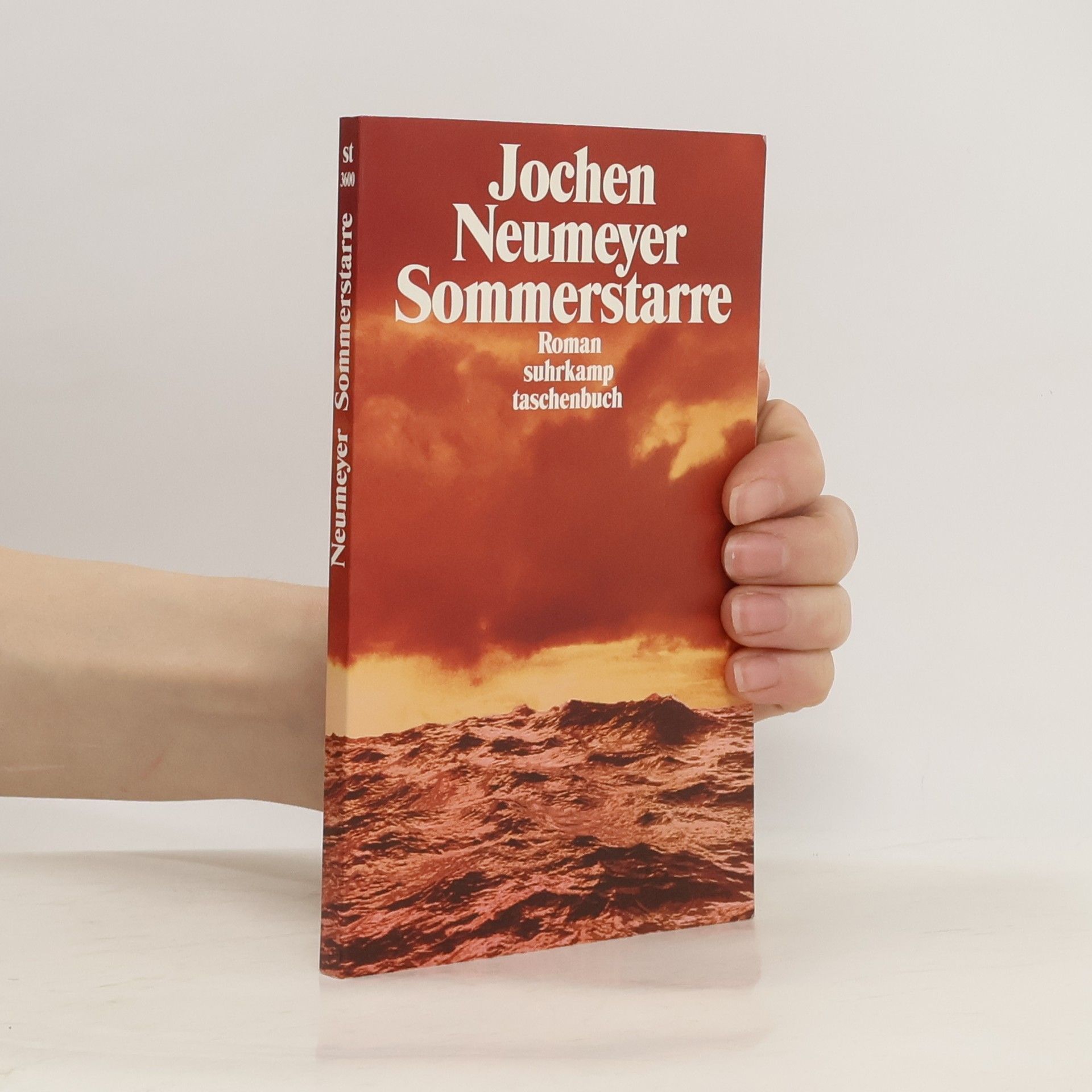 Jochen Neumeyer Sommerstarre