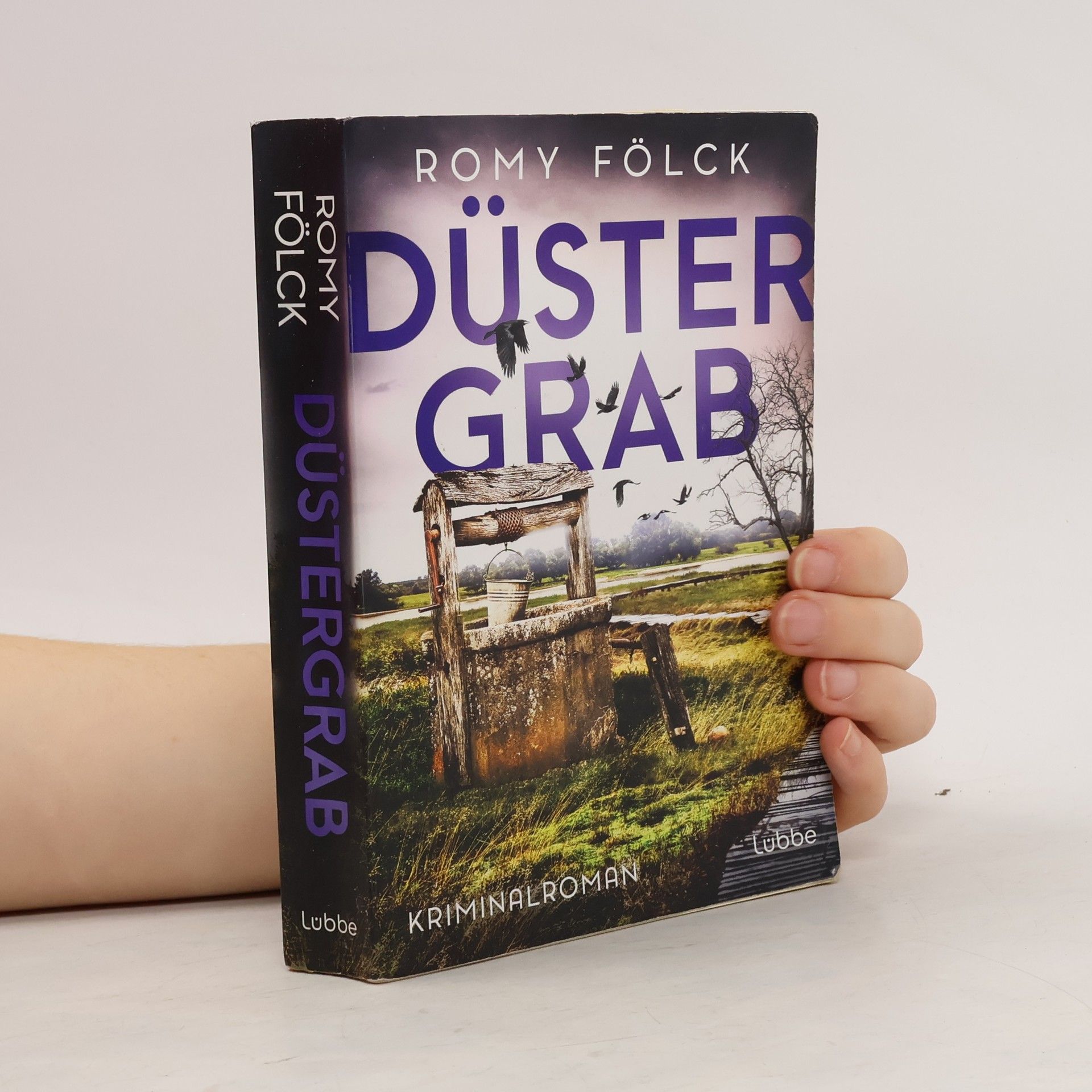 Romy Fölck Düstergrab