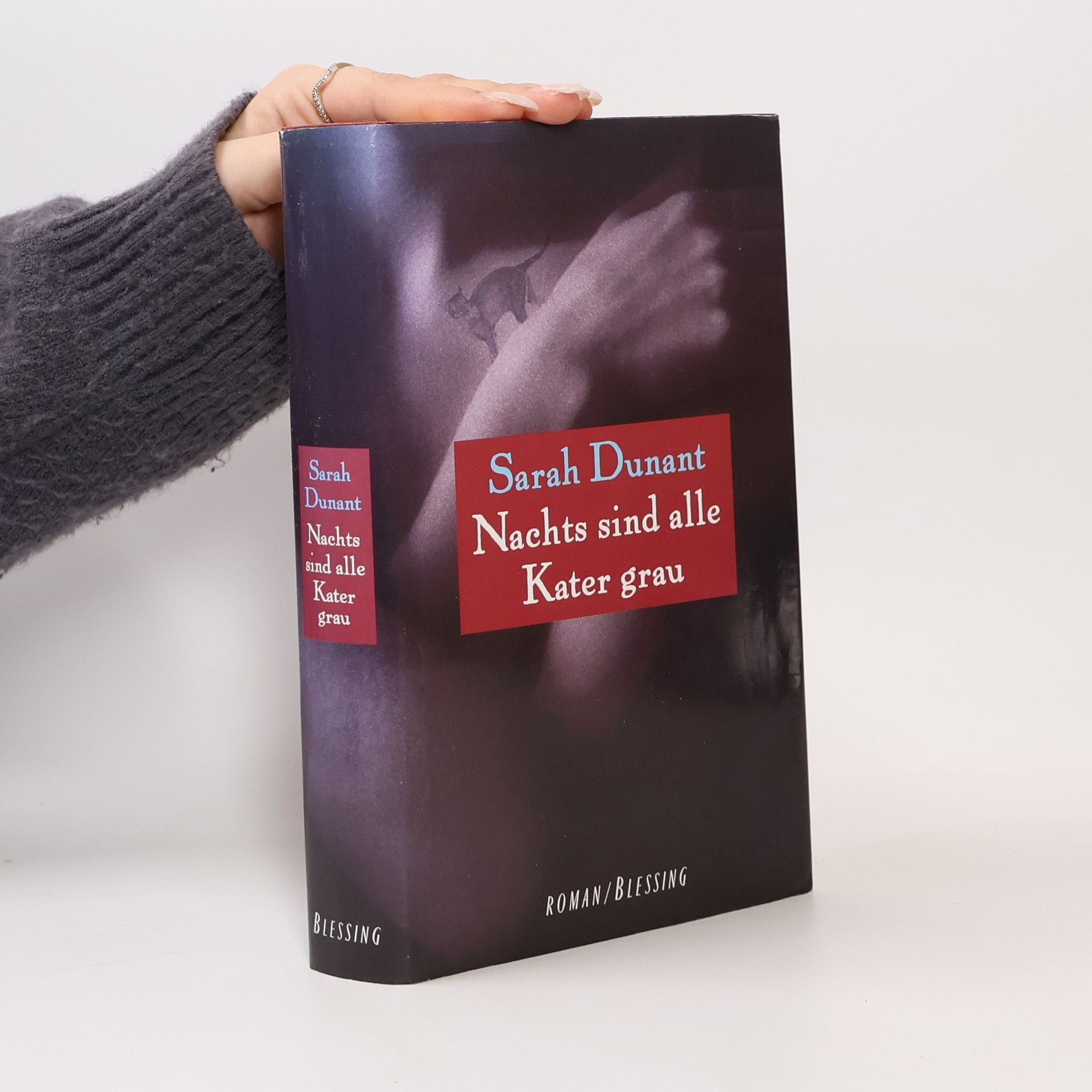 Sarah Dunant Nachts sind alle Kater grau