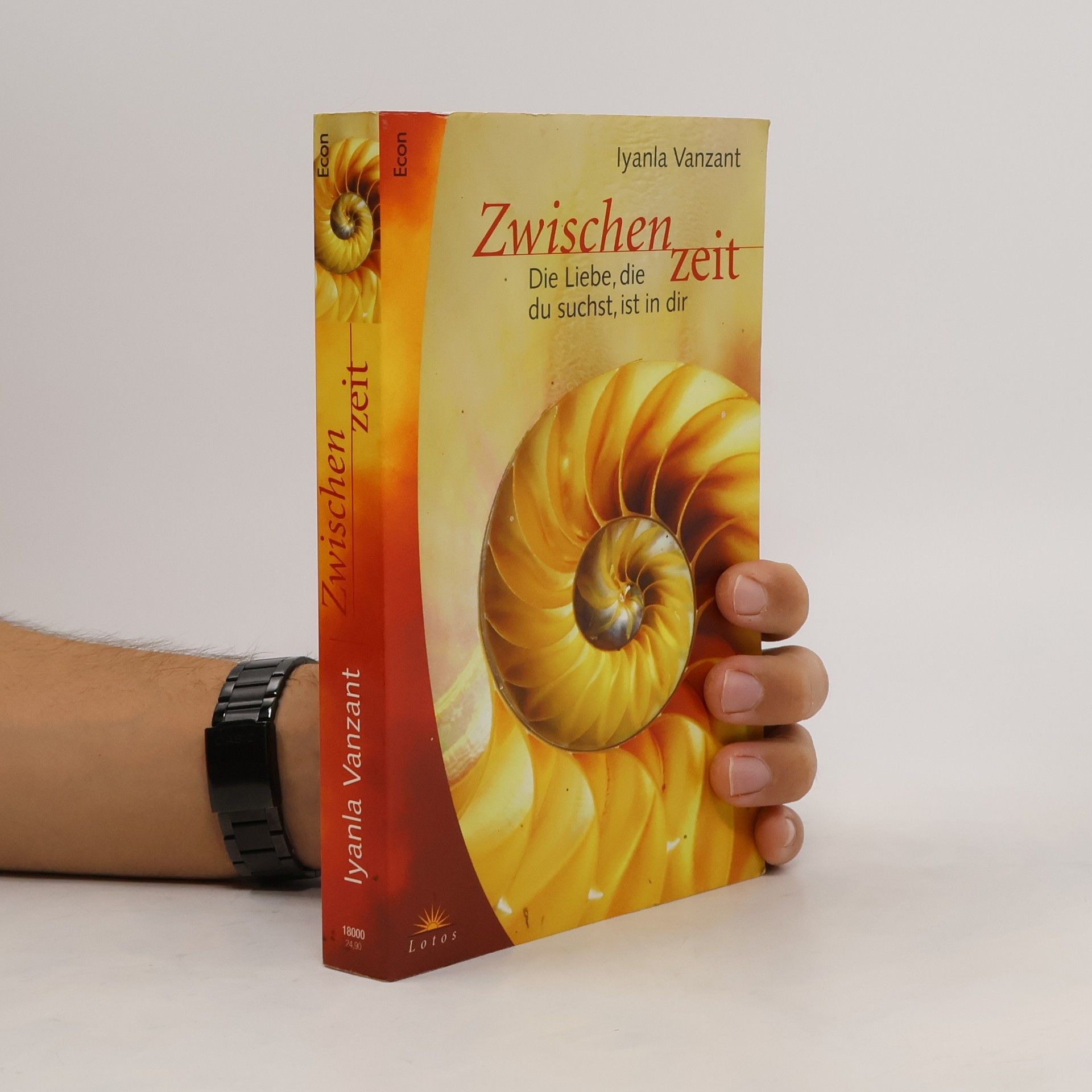 Iyanla Vanzant Zwischenzeit