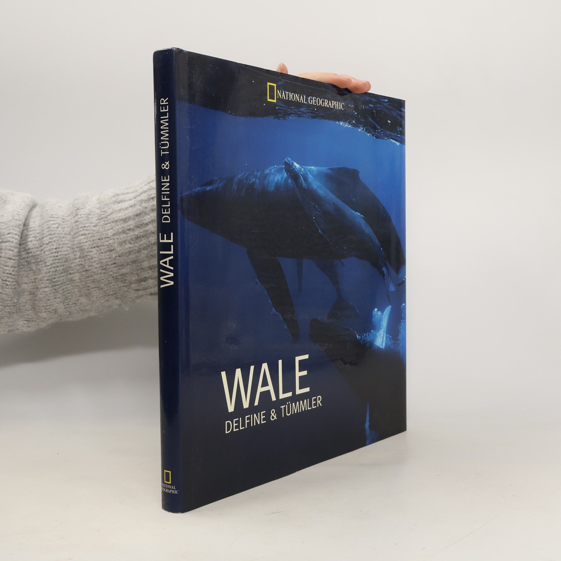 Various authors Die Fotografien einst und jetzt