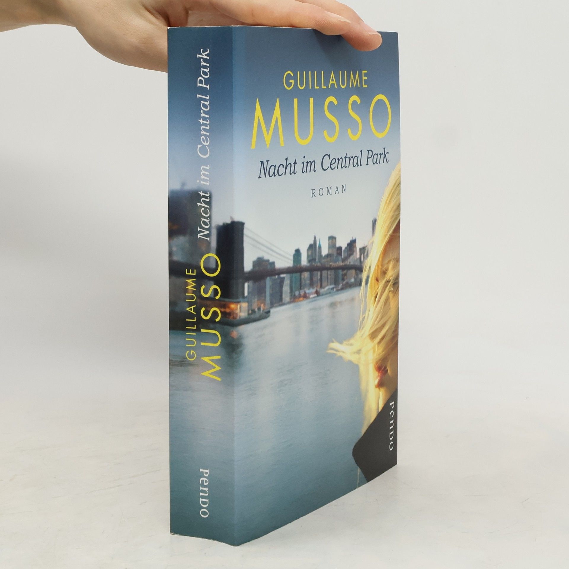 Guillaume Musso Nacht im Central Park