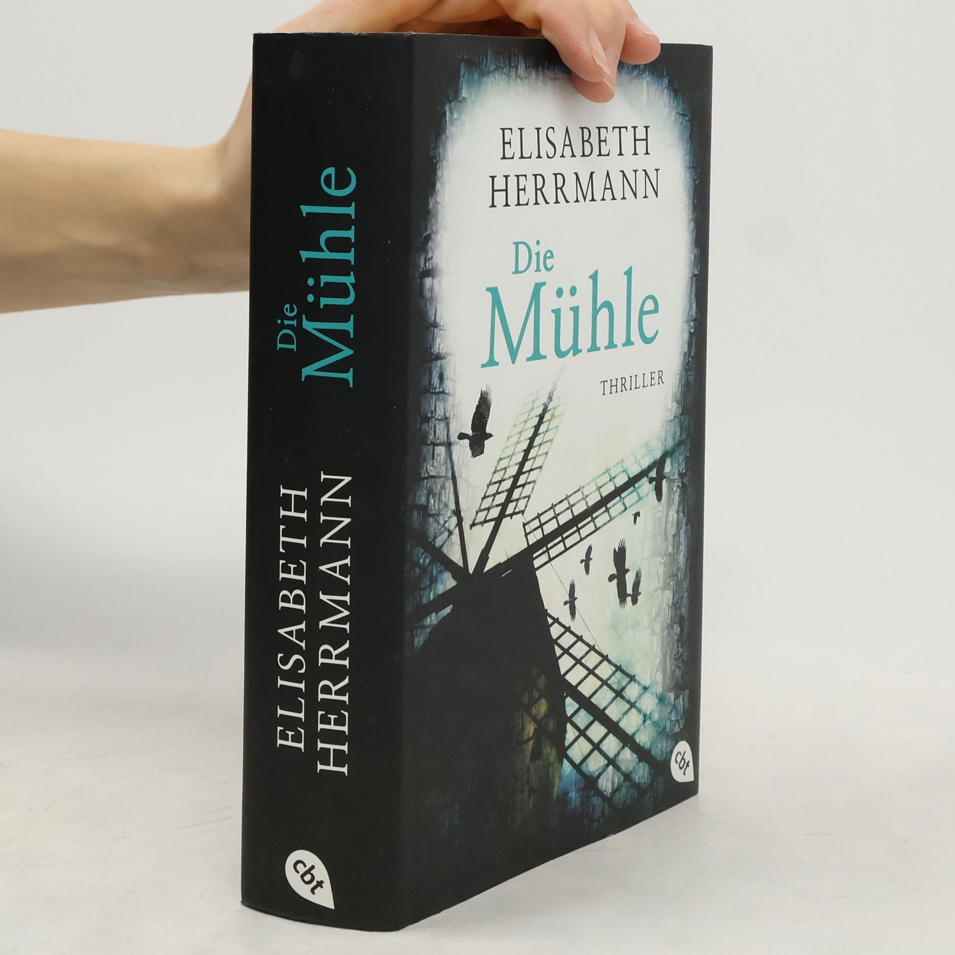 Elisabeth Hermann Die Mühle