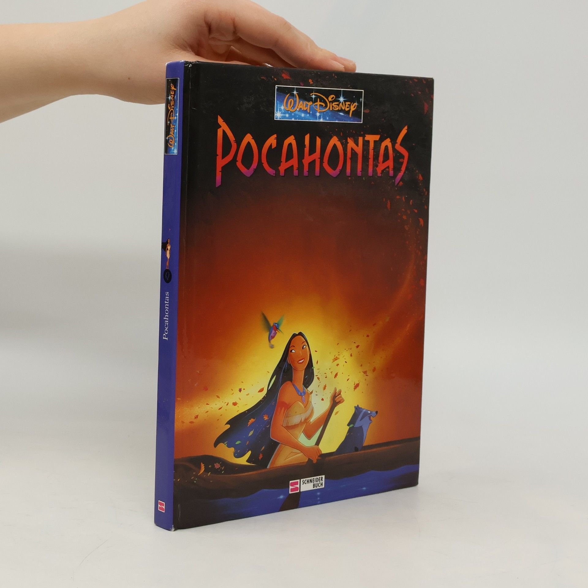 Autorenkollektiv Pocahontas