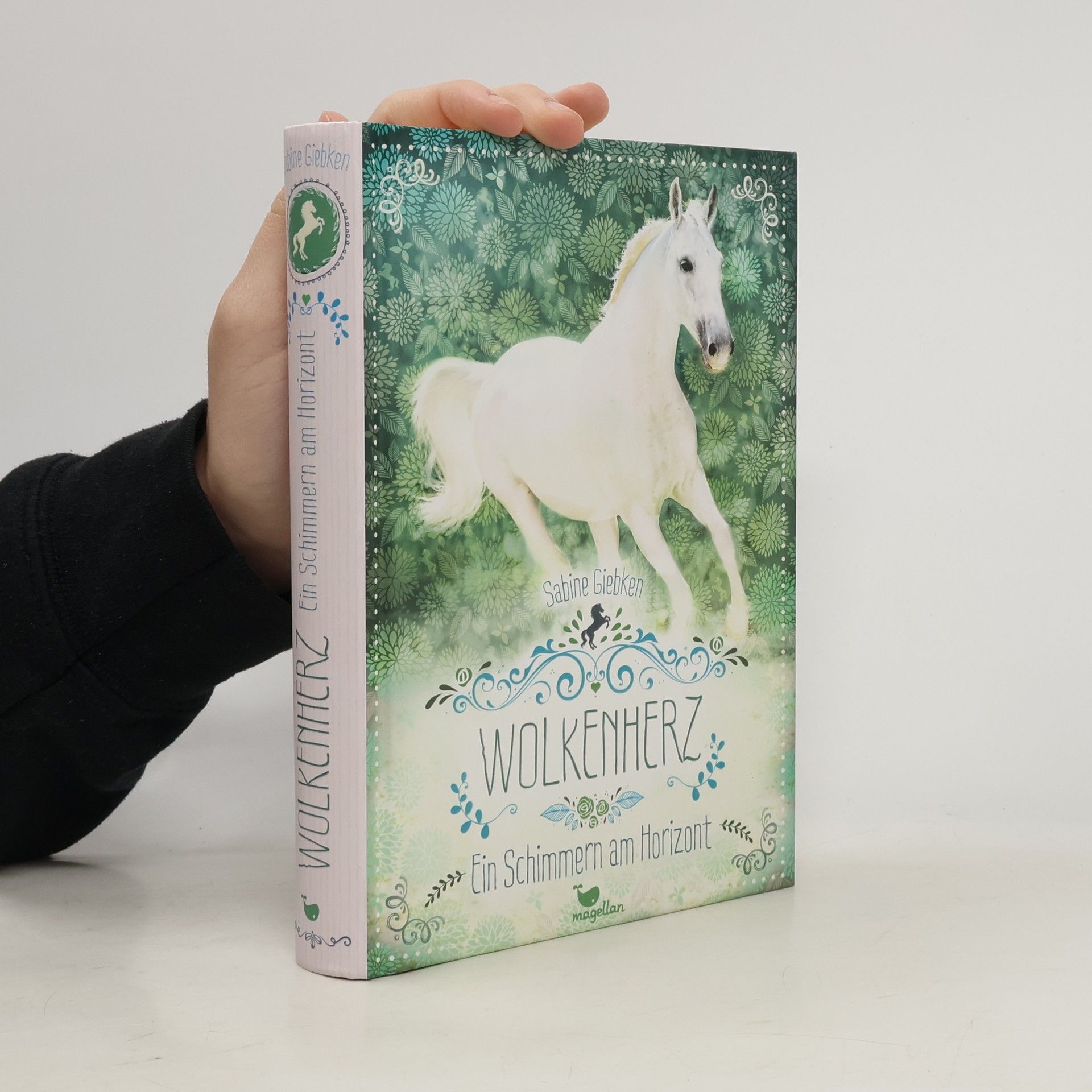 Sabine Giebken Ein Schimmern am Horizont