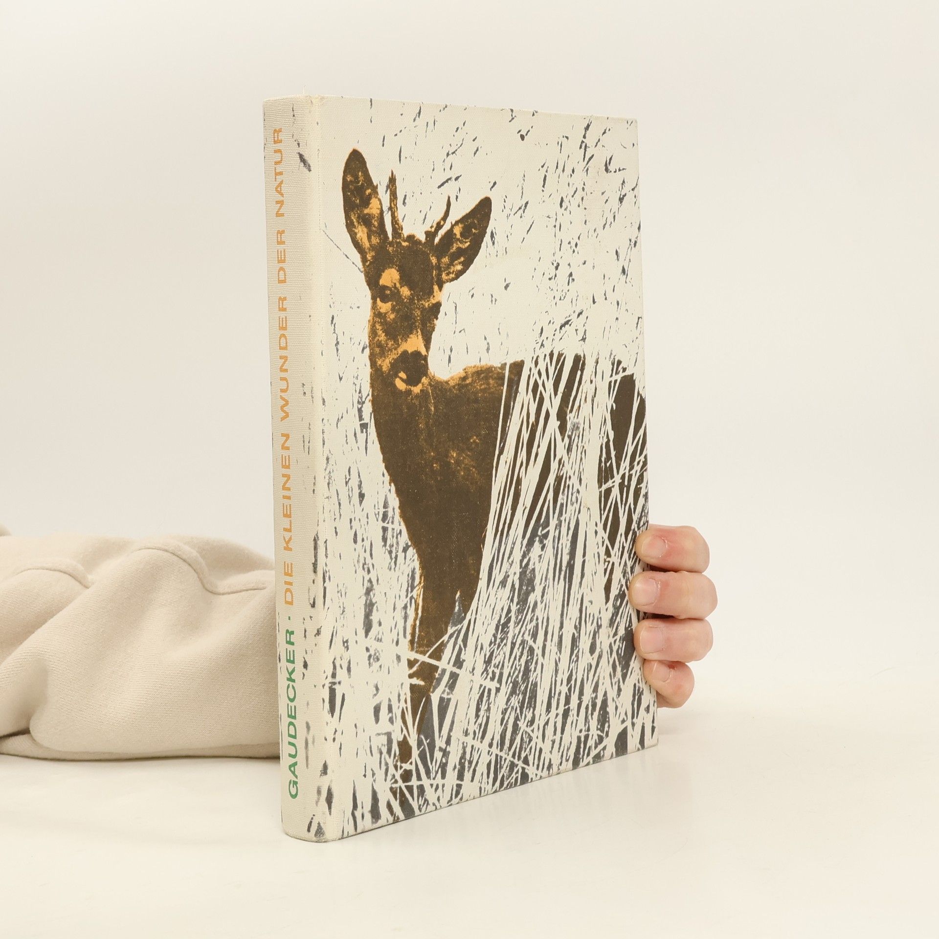 Die Kleinen Wunder der Natur