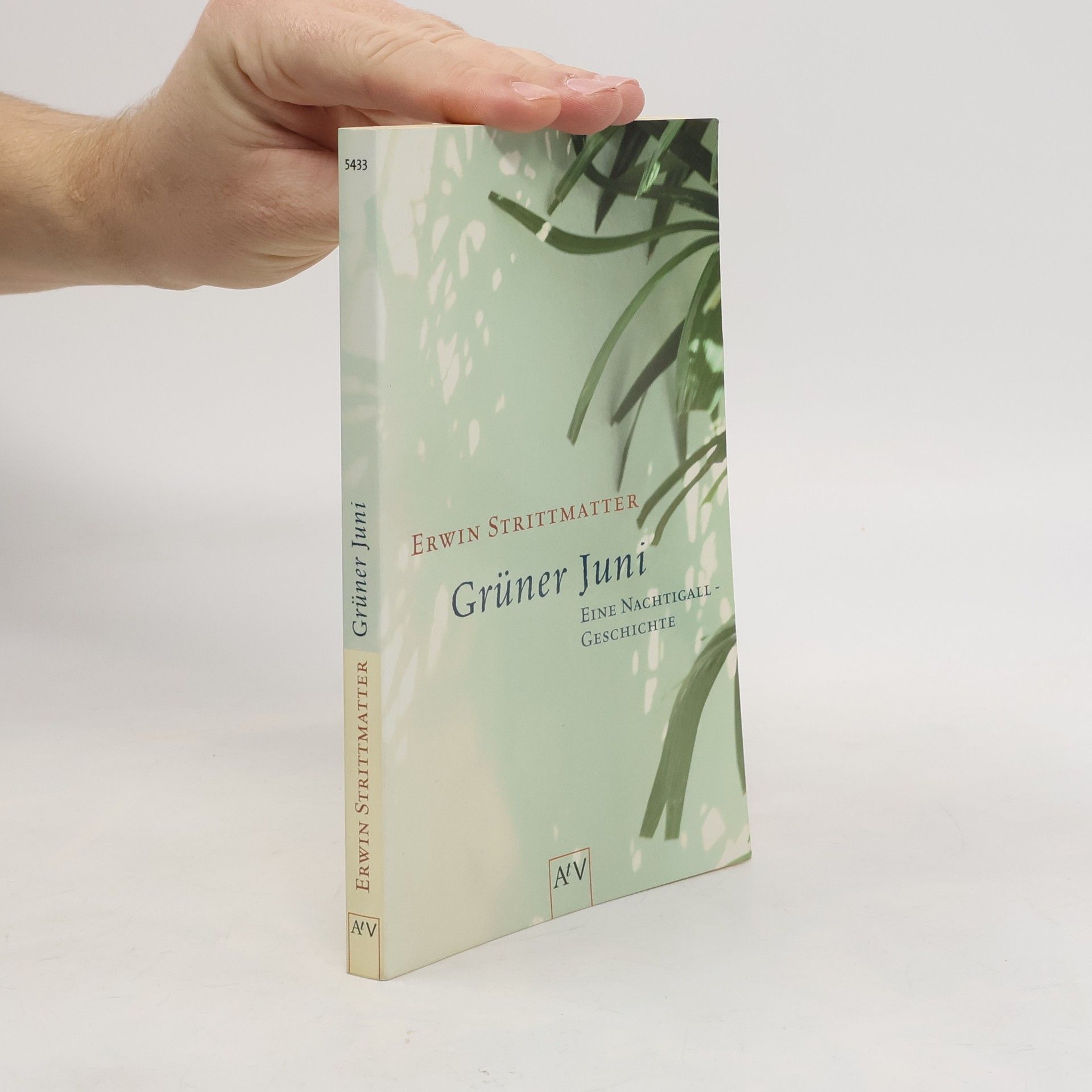 Erwin Strittmatter Grüner Juni