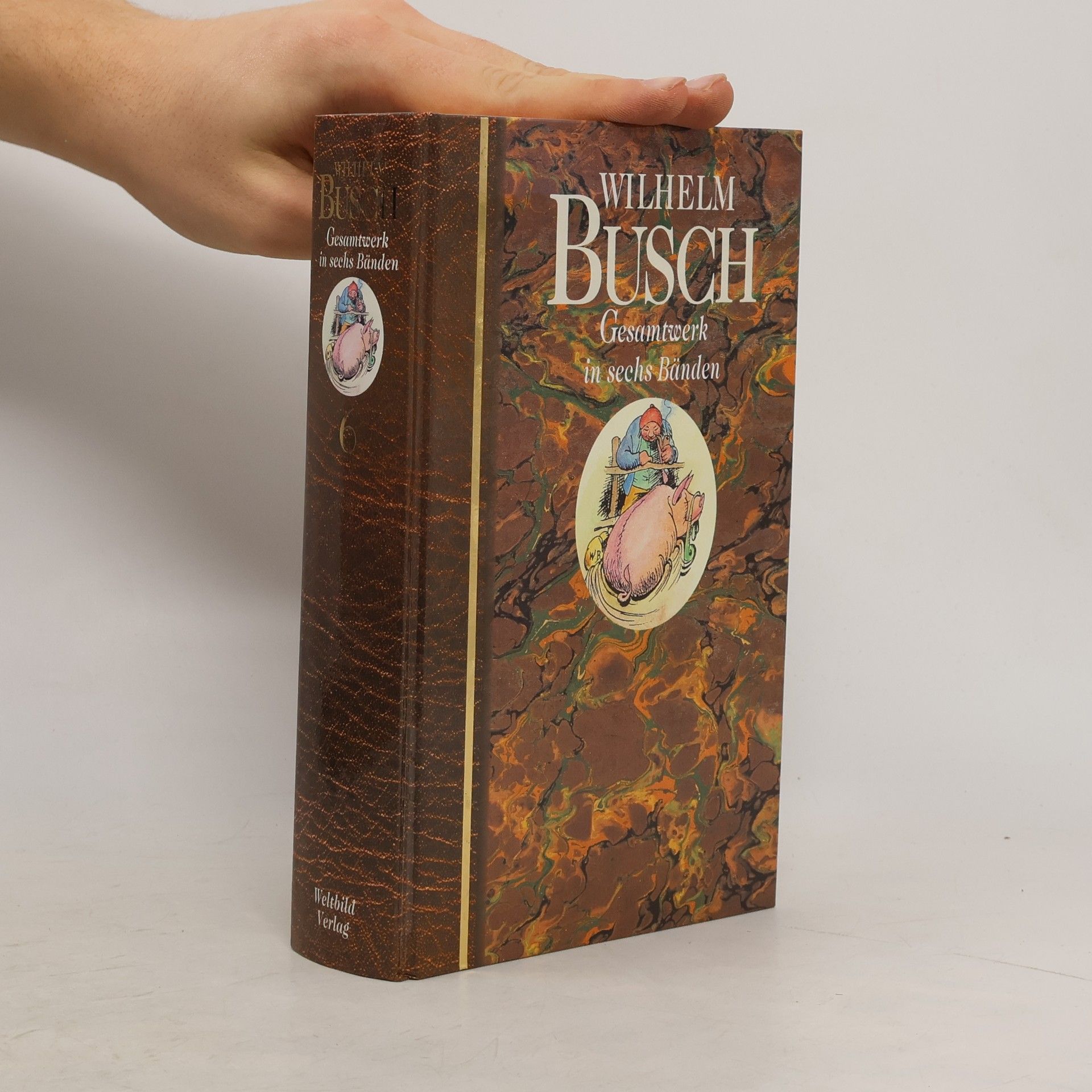 Wilhelm Busch Gesamtwerk in sechs Bänden 6