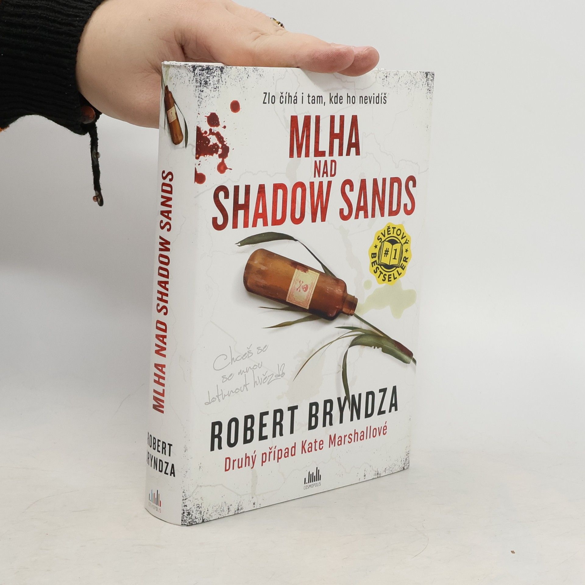 Robert Bryndza Mlha nad Shadow Sands