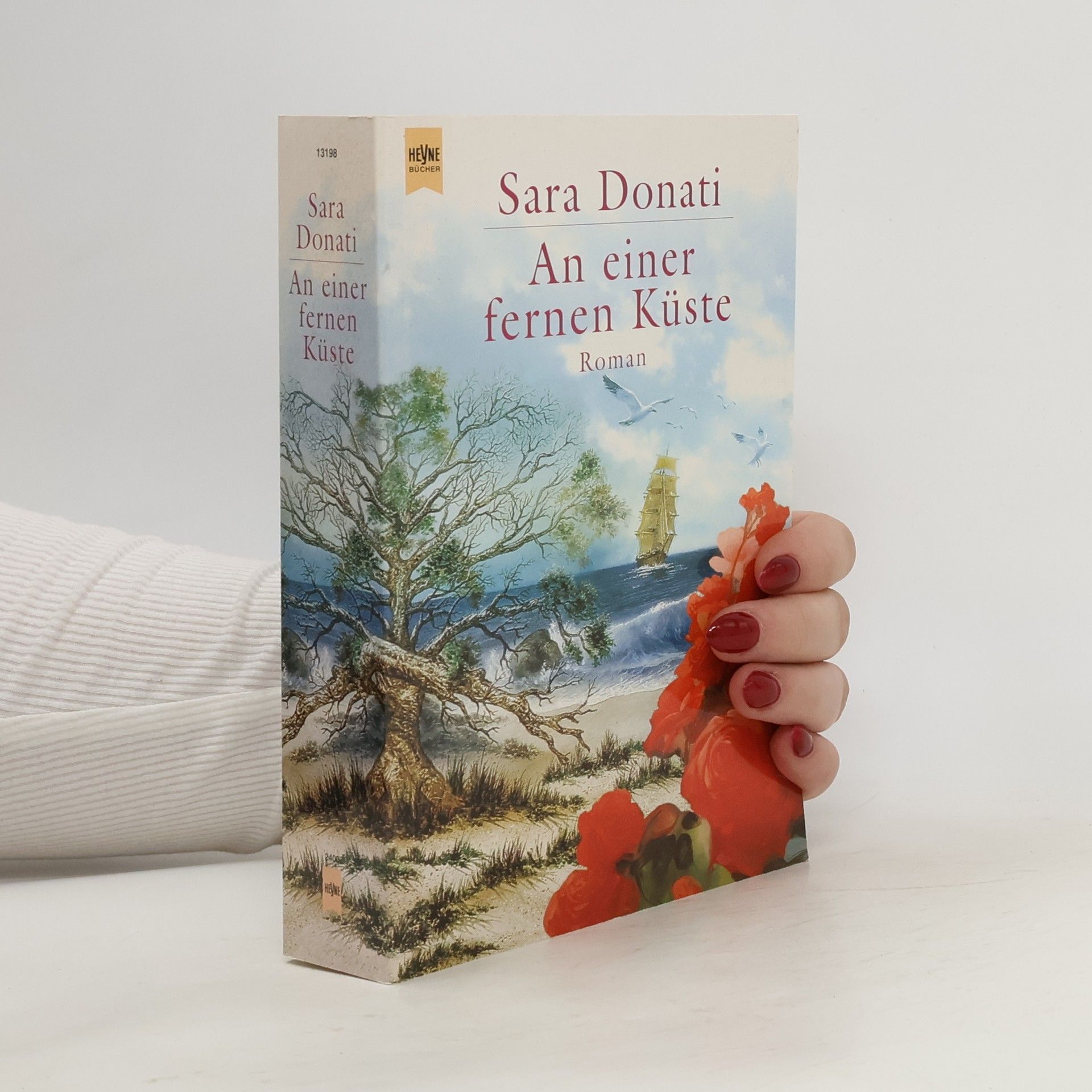 Sara Donati An einer fernen Küste