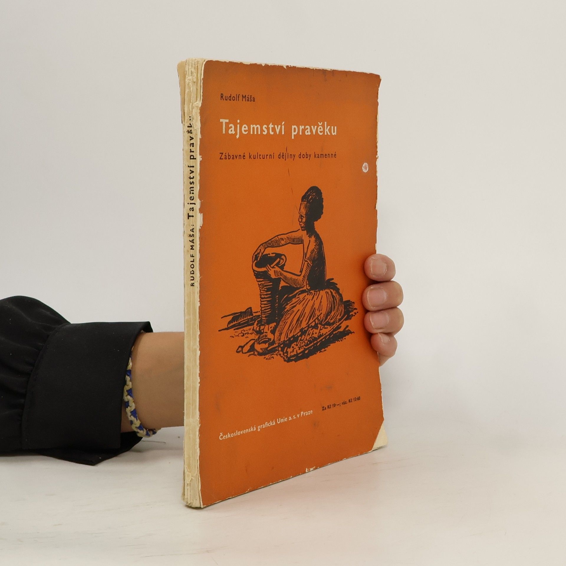 Rudolf Máša Tajemství pravěku