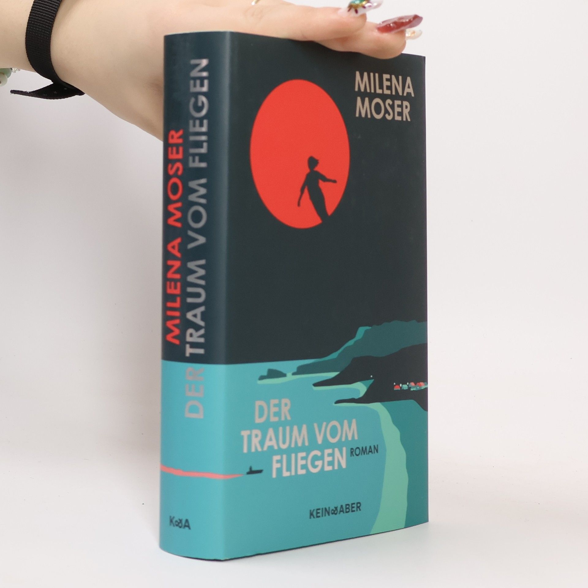 Milena Moser Der Traum vom Fliegen